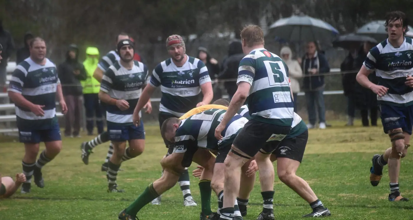Young Yabbies Preseason