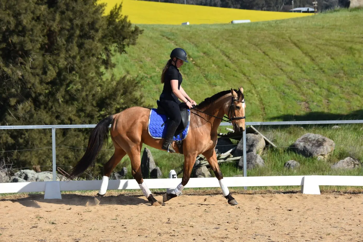 In the dressage arena with Sue Walker instructing.