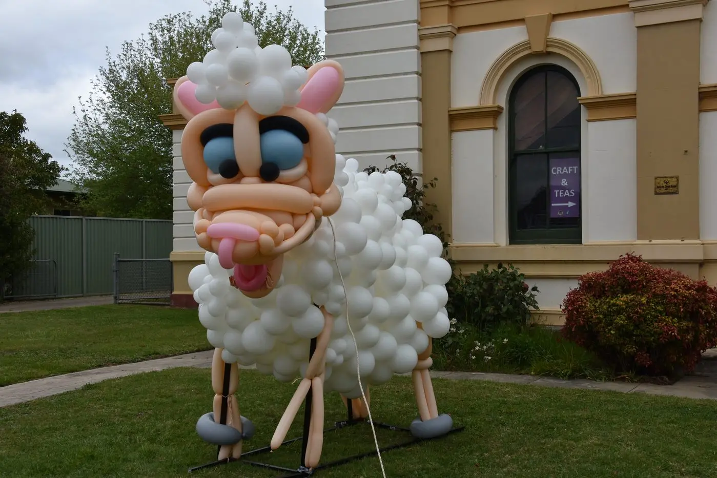 The amazing balloon sheep on the lawn of the Old Court House.