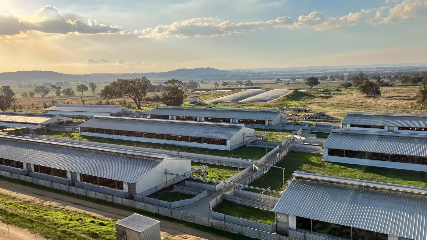 Blantyre Farms get DA approval for Eulie Piggery at Harden