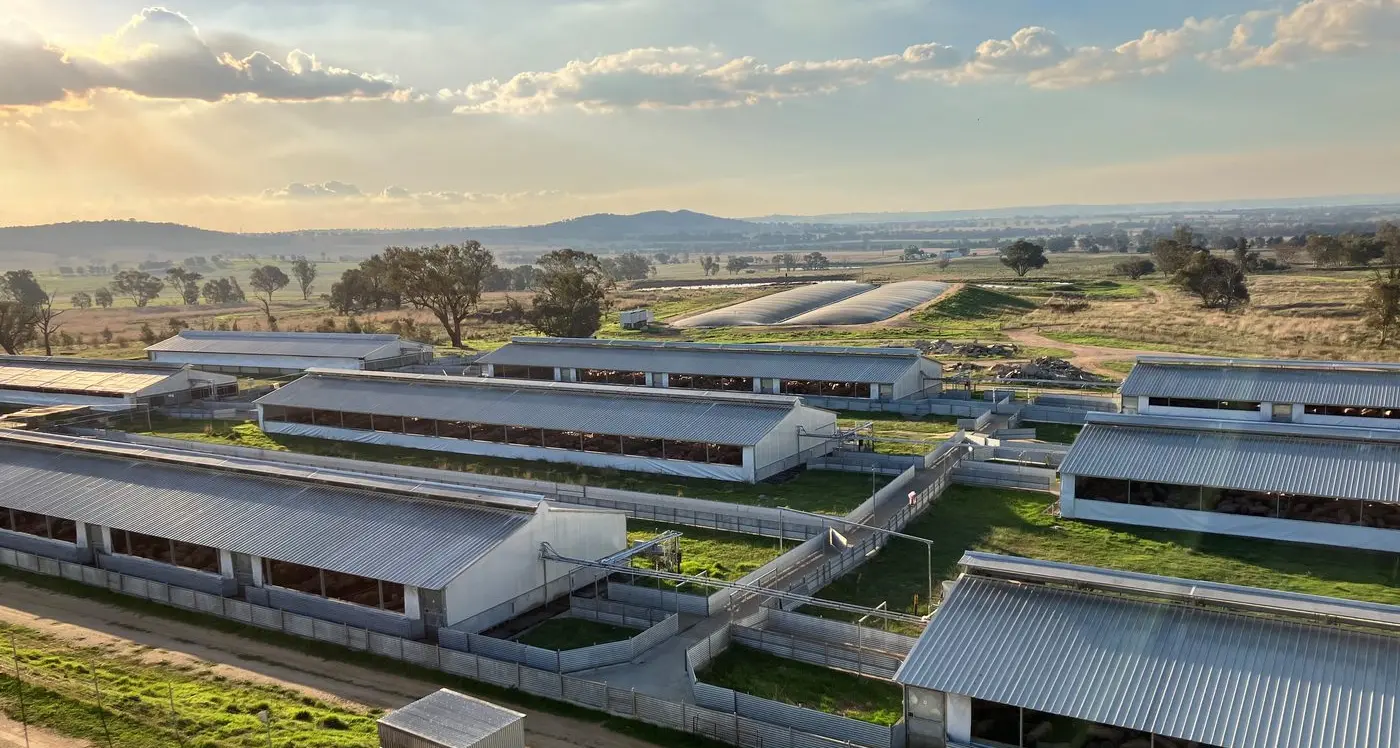 Blantyre Farms get DA approval for Eulie Piggery at Harden