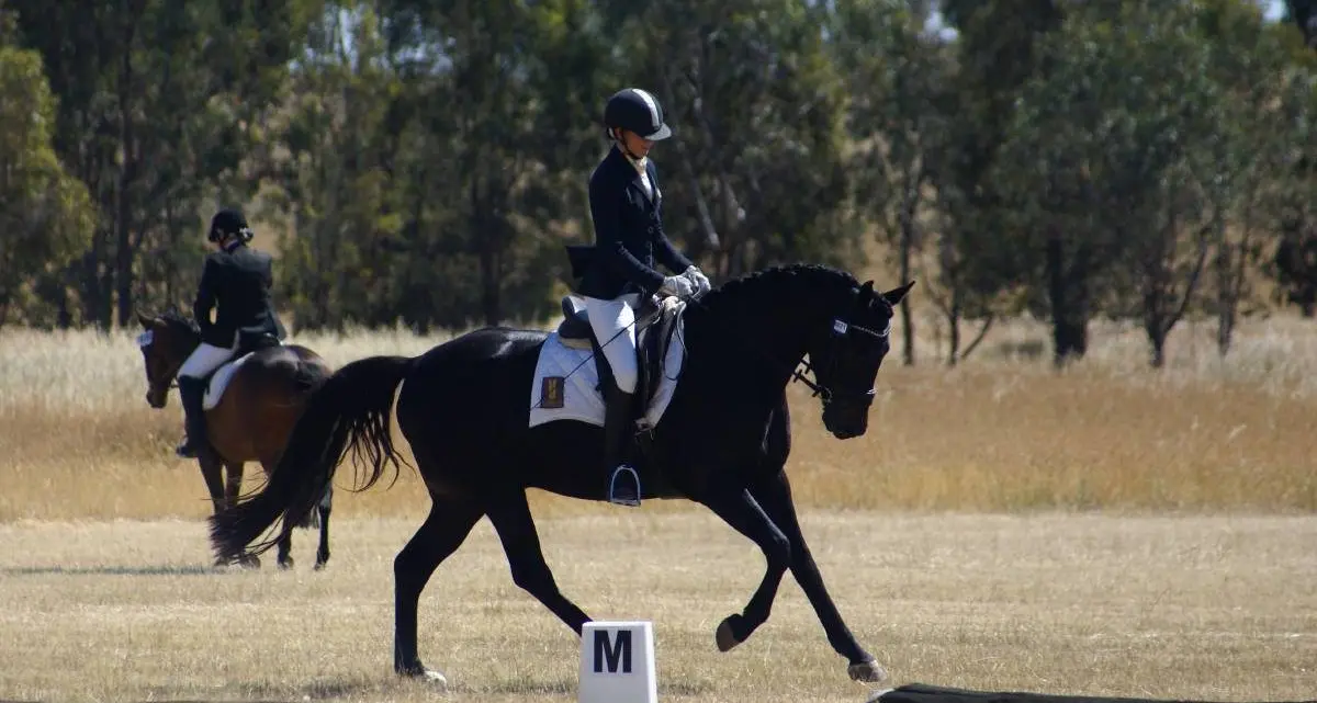 Coming up across the Hilltops region