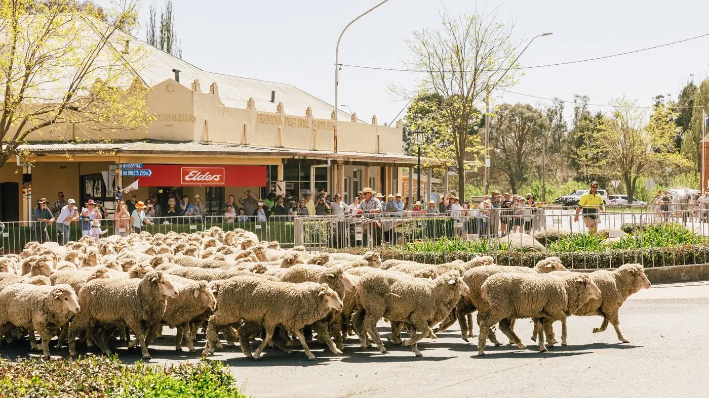 Road closures for the Boorowa Irish Woolfest