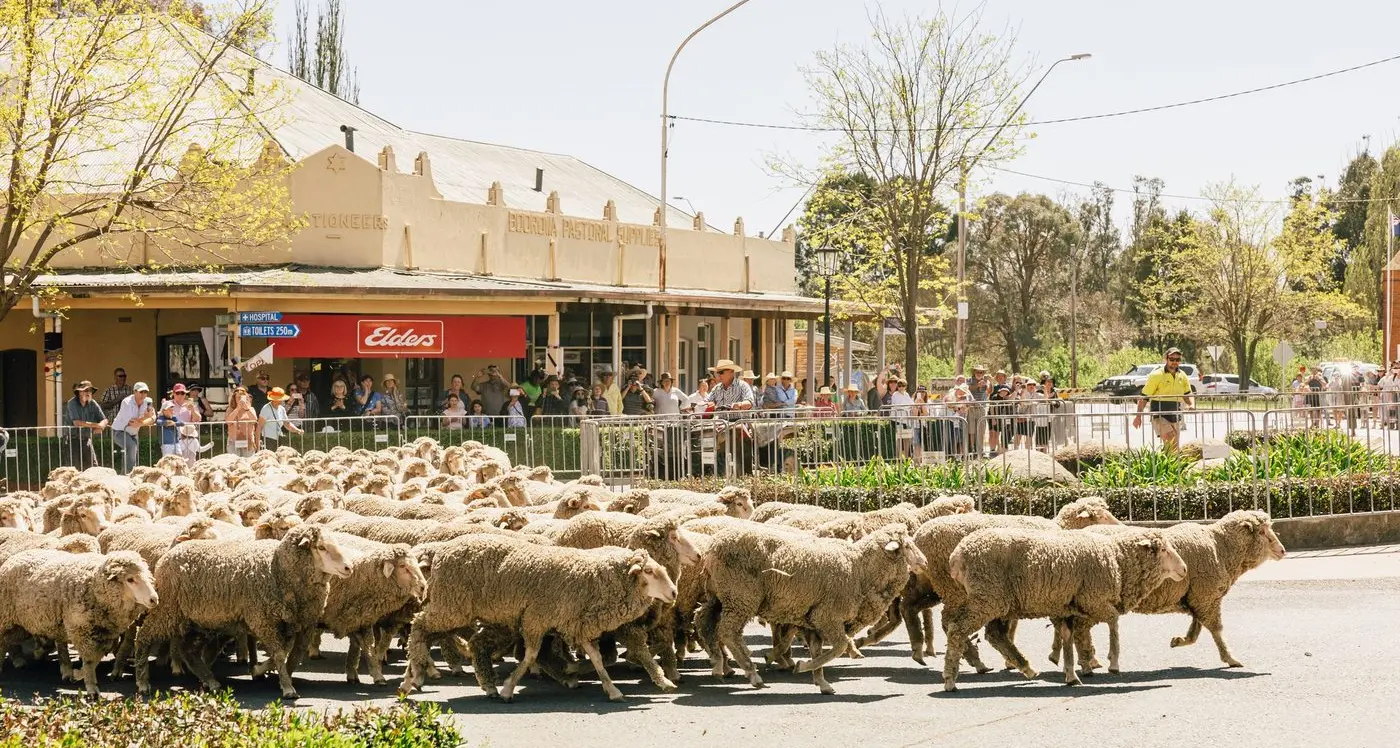 Road closures for the Boorowa Irish Woolfest