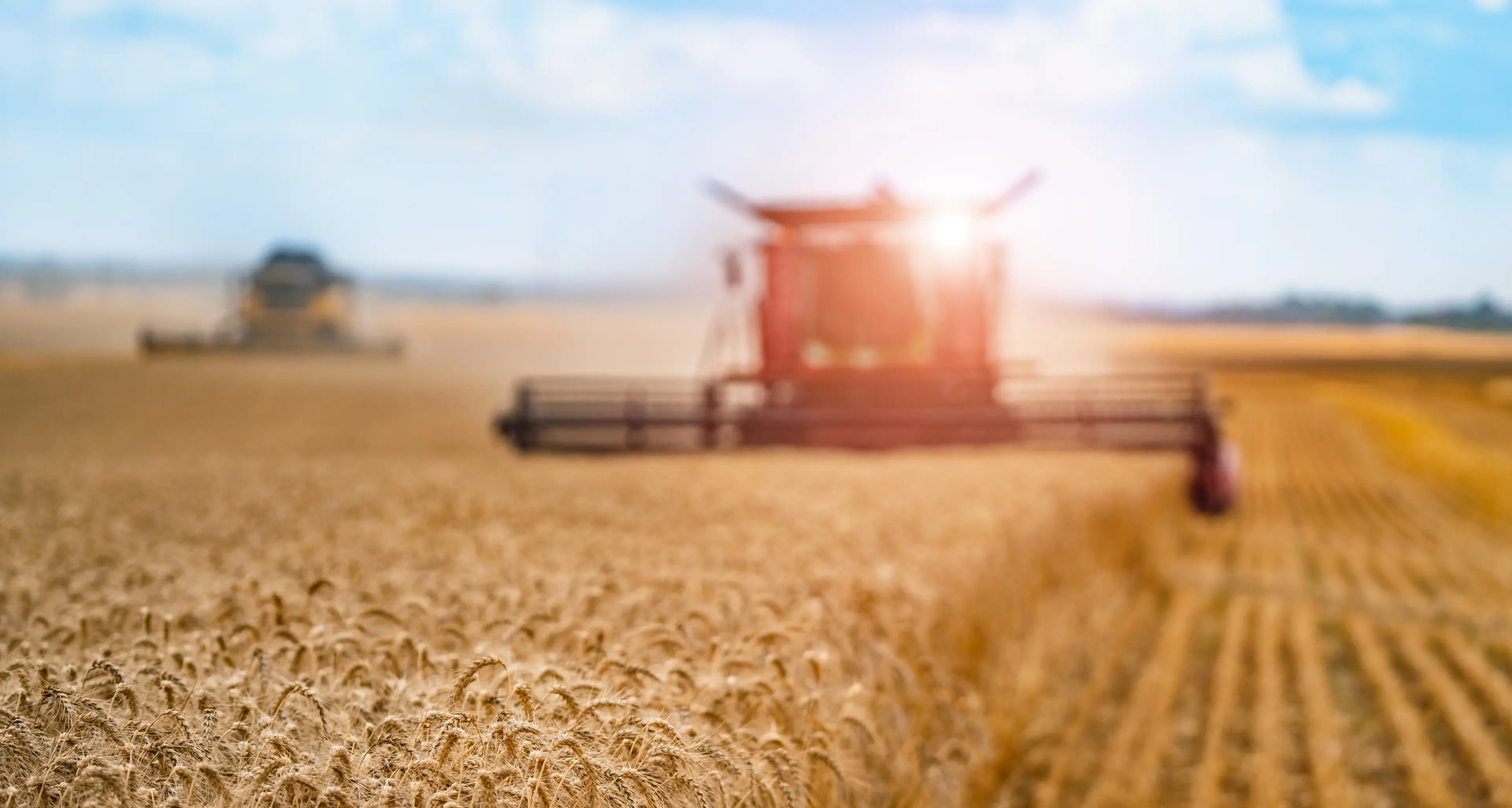 A record breaking year for Primary Industry in NSW