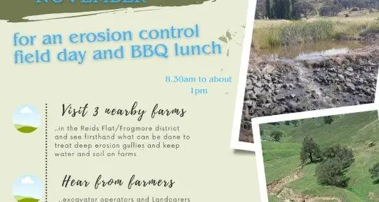 Free erosion-control field morning