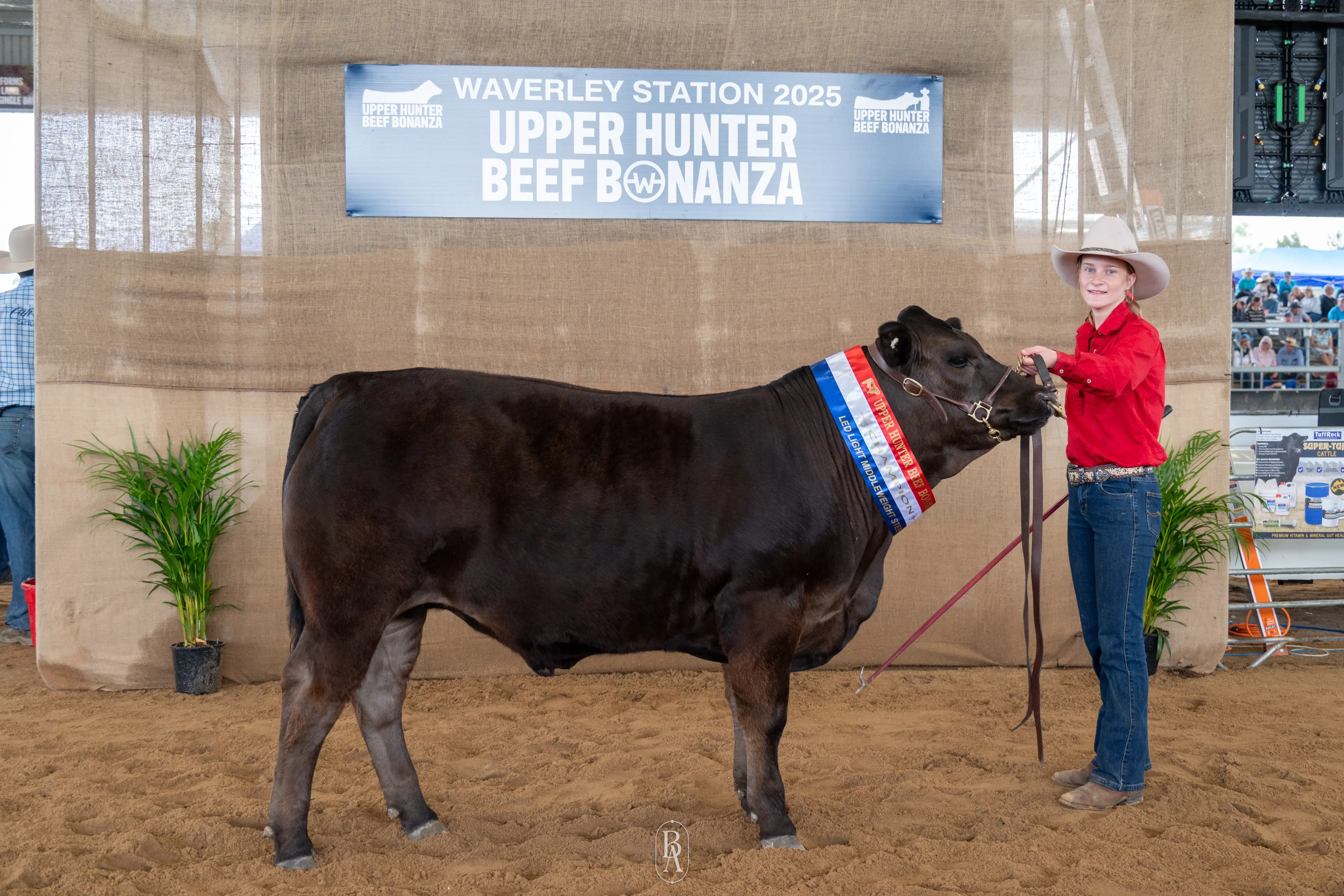 <p>Boorowa Central School student Mylee with Duke at the Upper Hunter Beef Bonanza 2025. PHOTO: Supplied</p>\\n