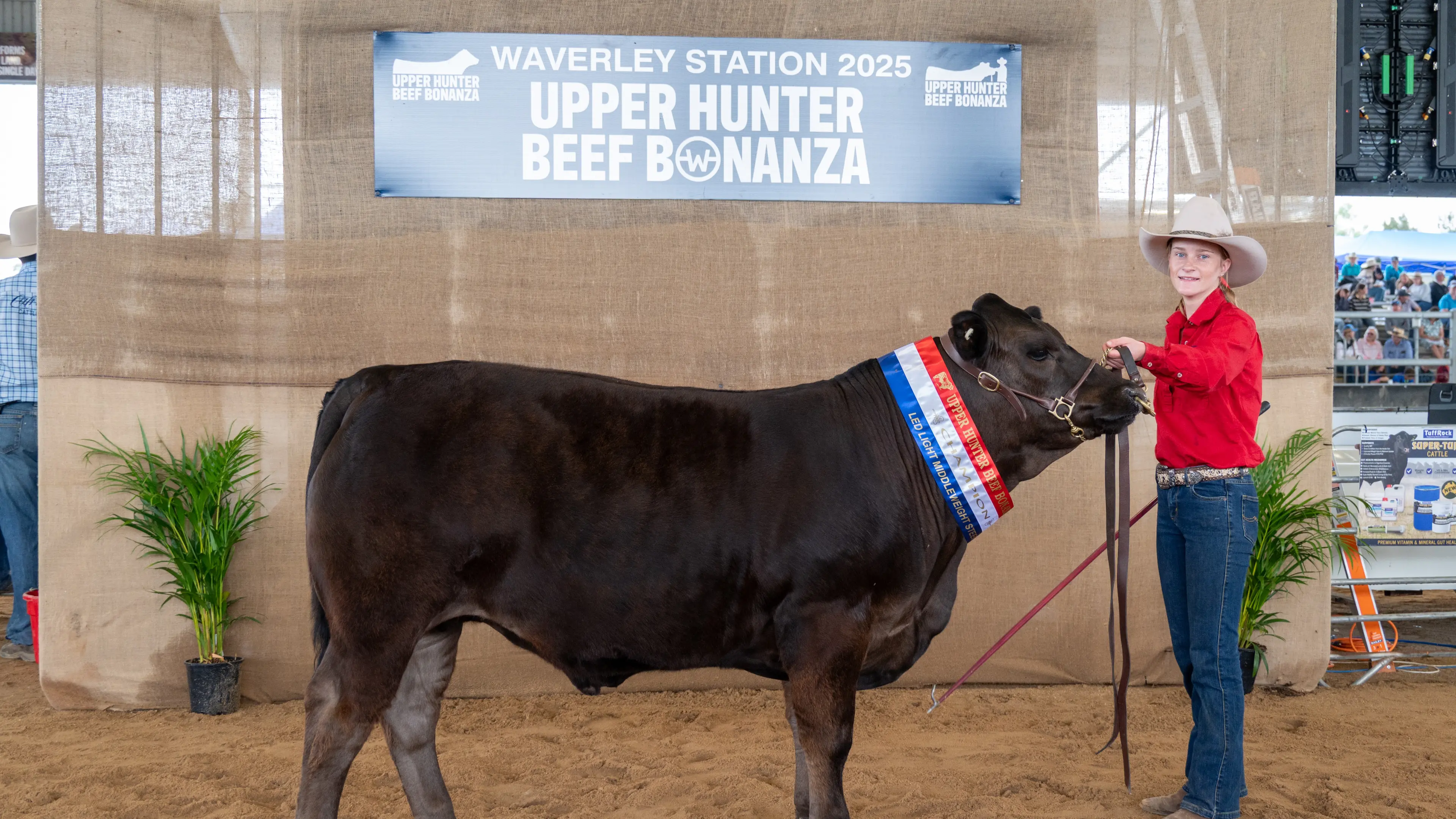 Big wins at the Upper Hunter Beef Bonanza 2025
