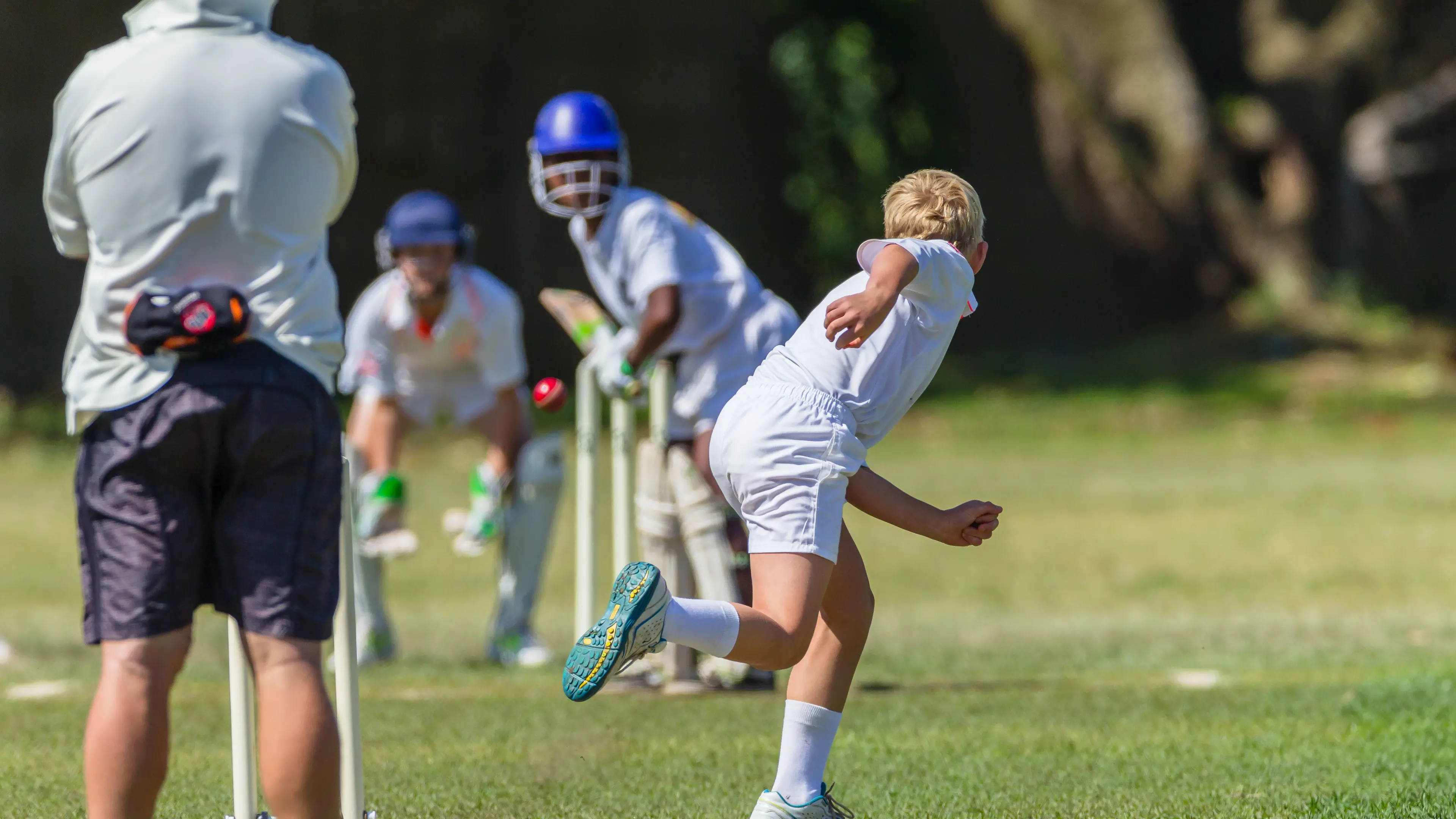 A great win for B Grade Open Harden Hornets
