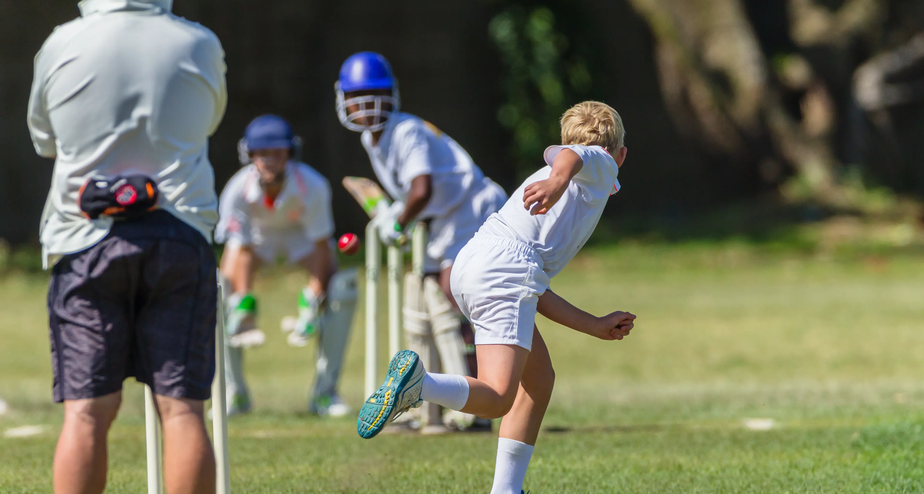 A great win for B Grade Open Harden Hornets