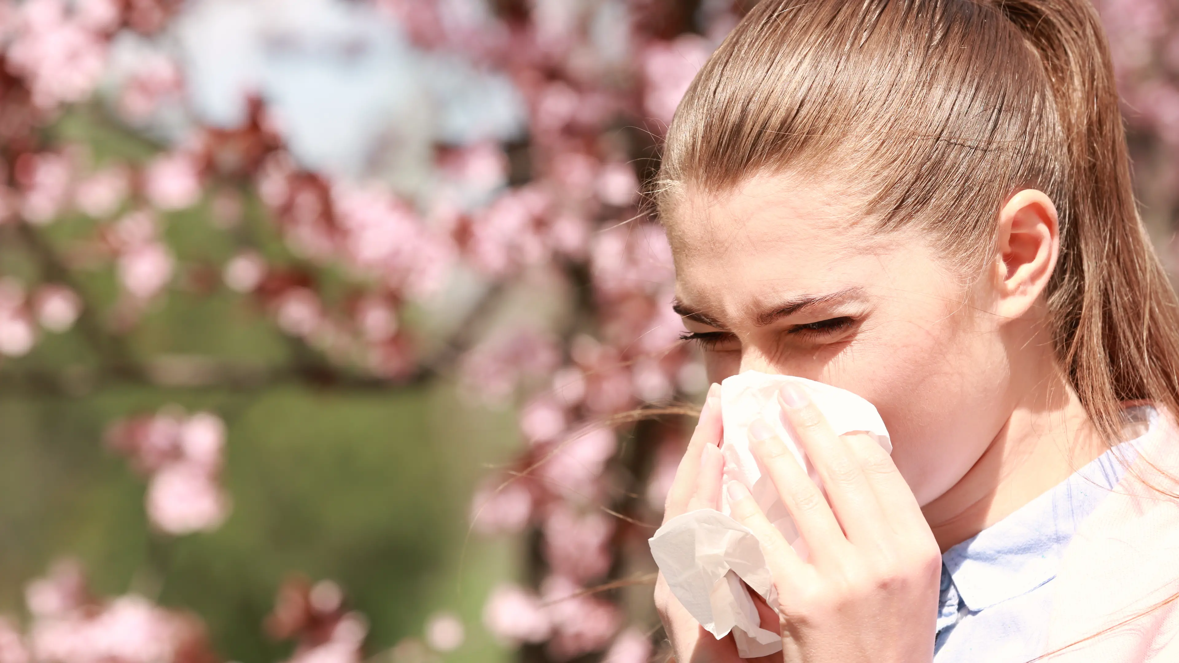 Locals reminded to stay on top of hay fever and asthma this spring