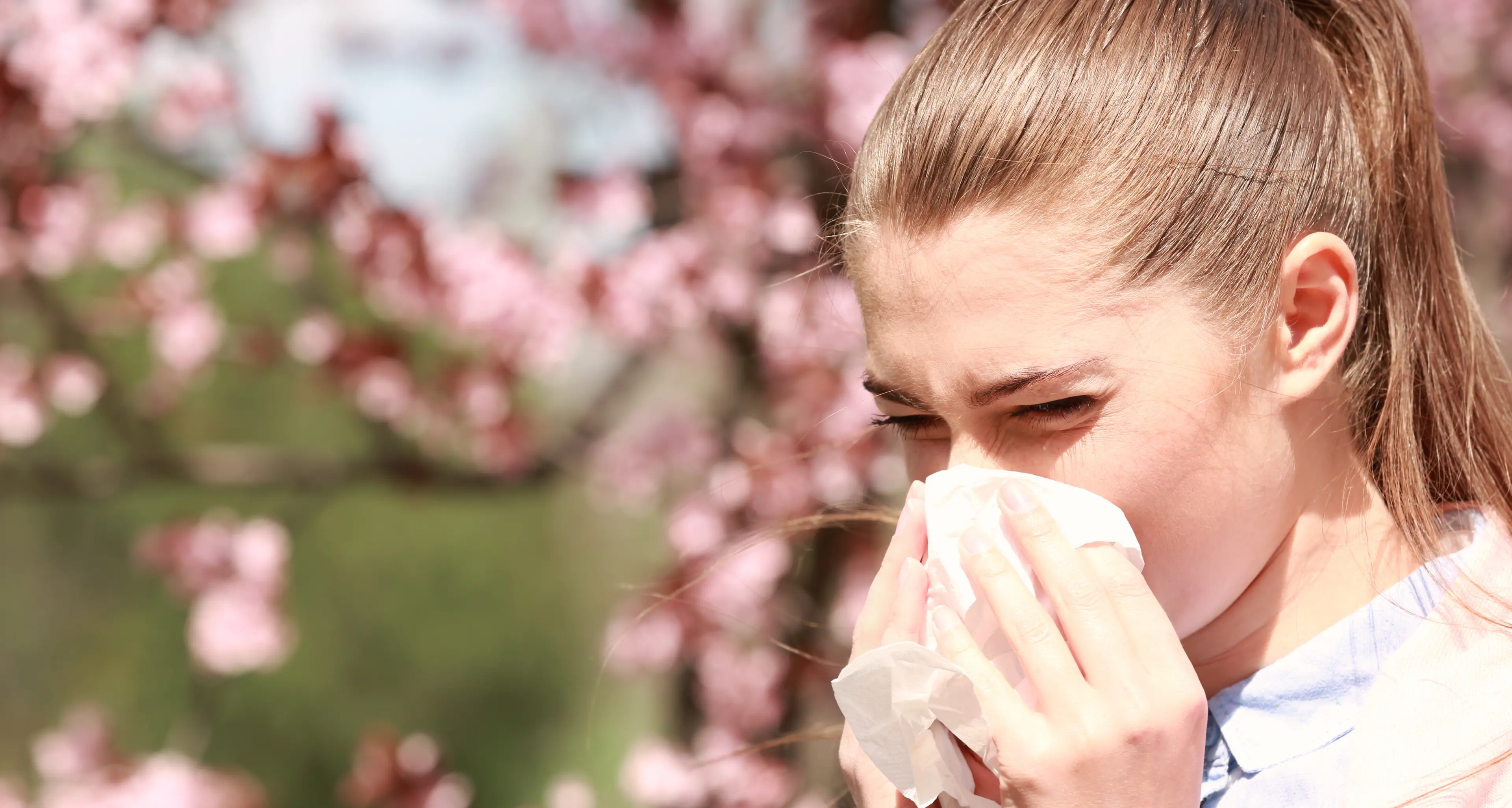 Locals reminded to stay on top of hay fever and asthma this spring