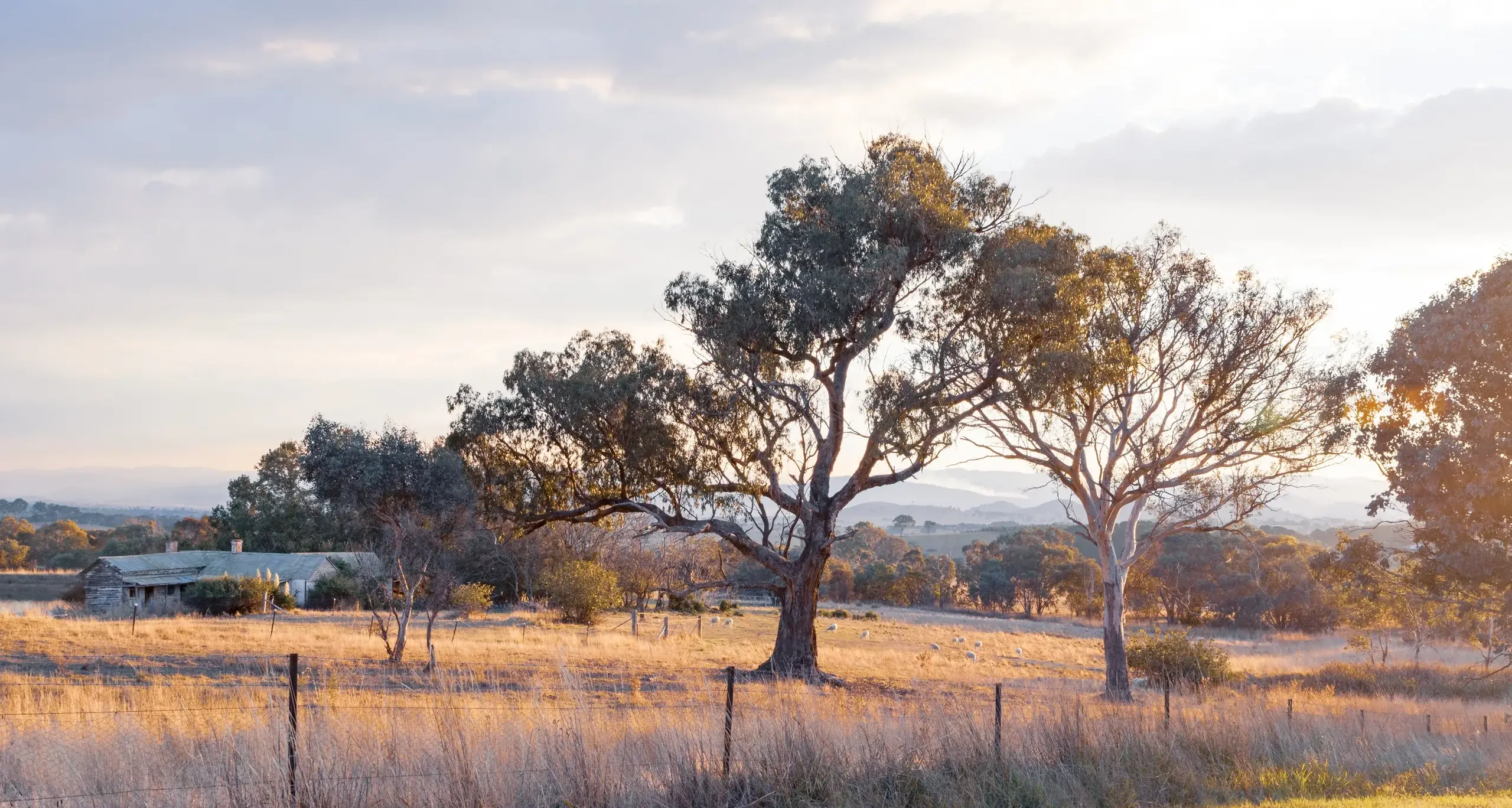 Facebook post showcases local rental crisis