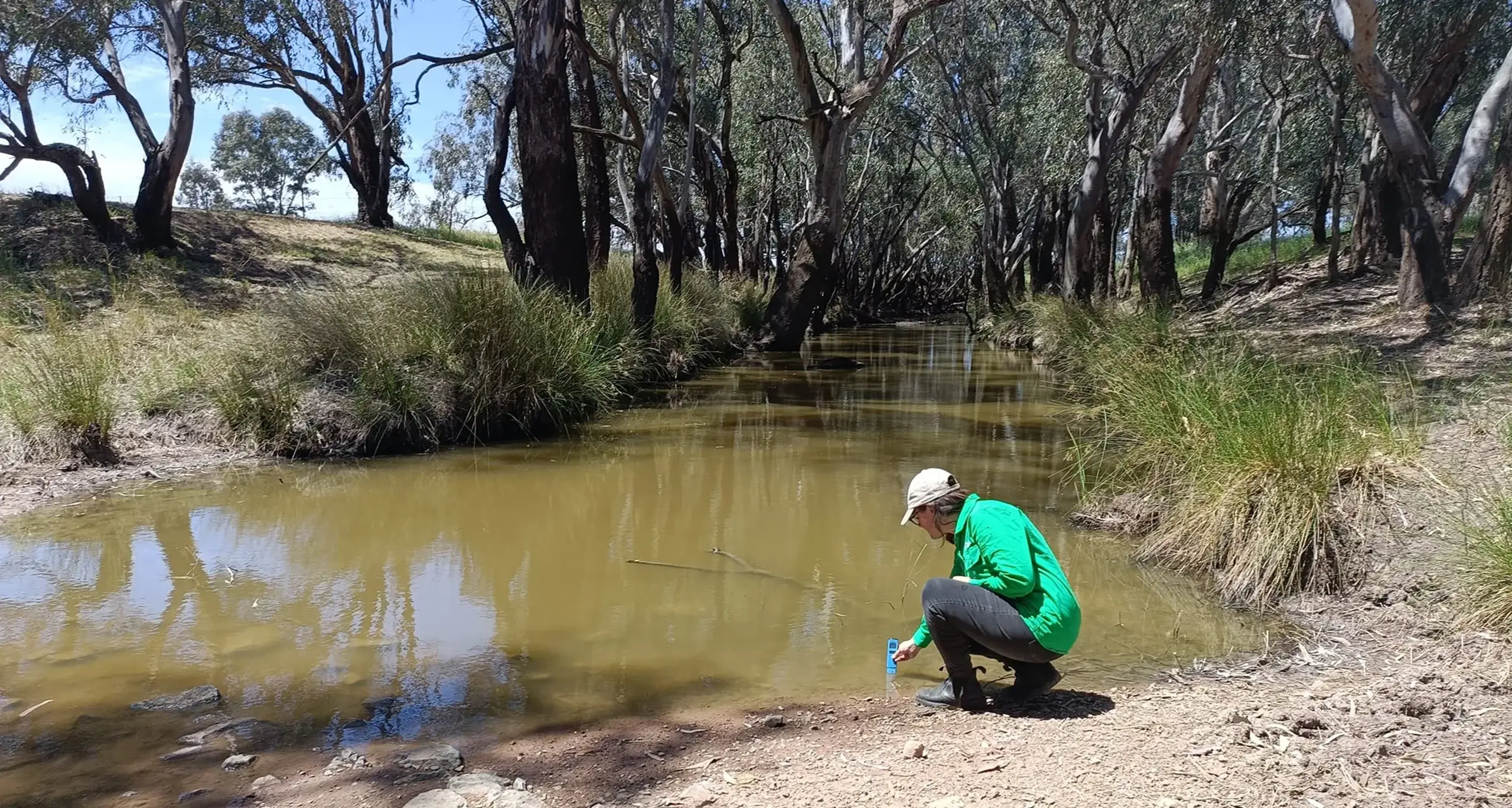 Weddin Landcare shares findings from salinity monitoring project
