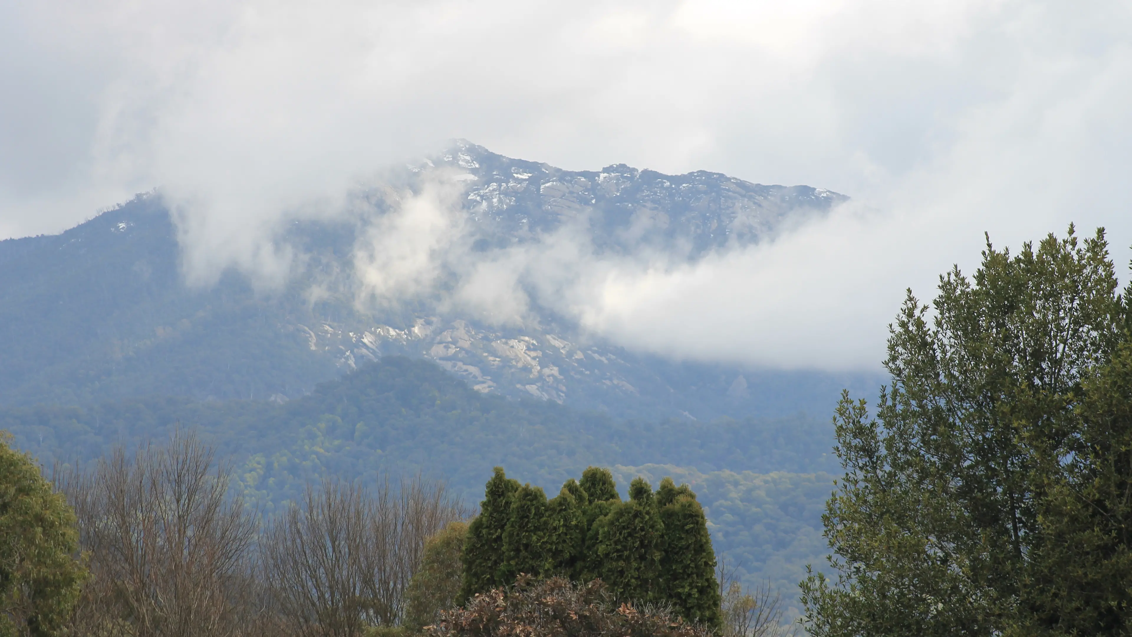 Police target accomplices after fatal shooting of Porepunkah fugitive