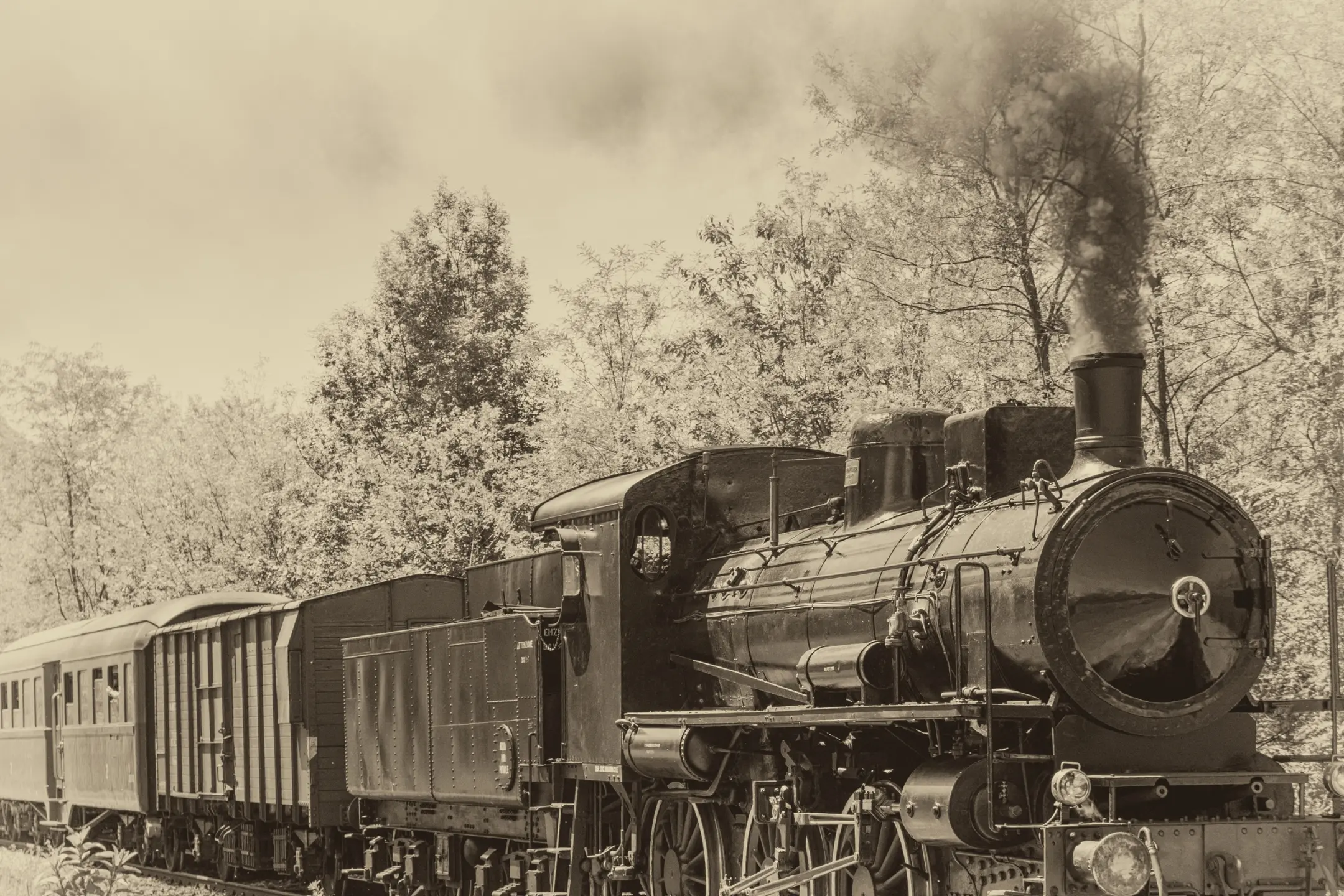 <p>Step back into local rail history with stories from guest speakers connected to NSW Railways.</p>\\n