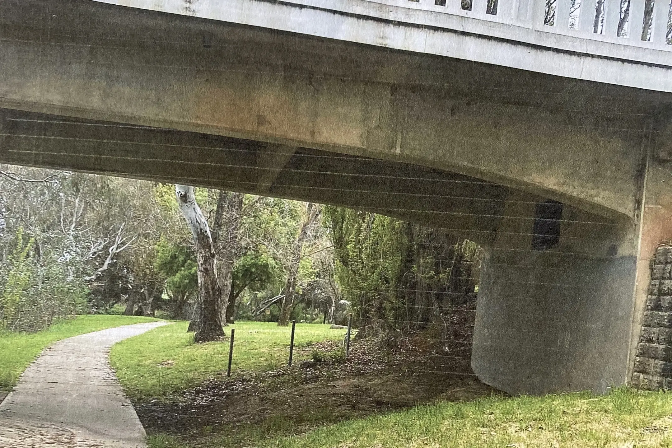 <p>Proposed site for the new mural beneath the Boorowa bridge.</p>\\n
