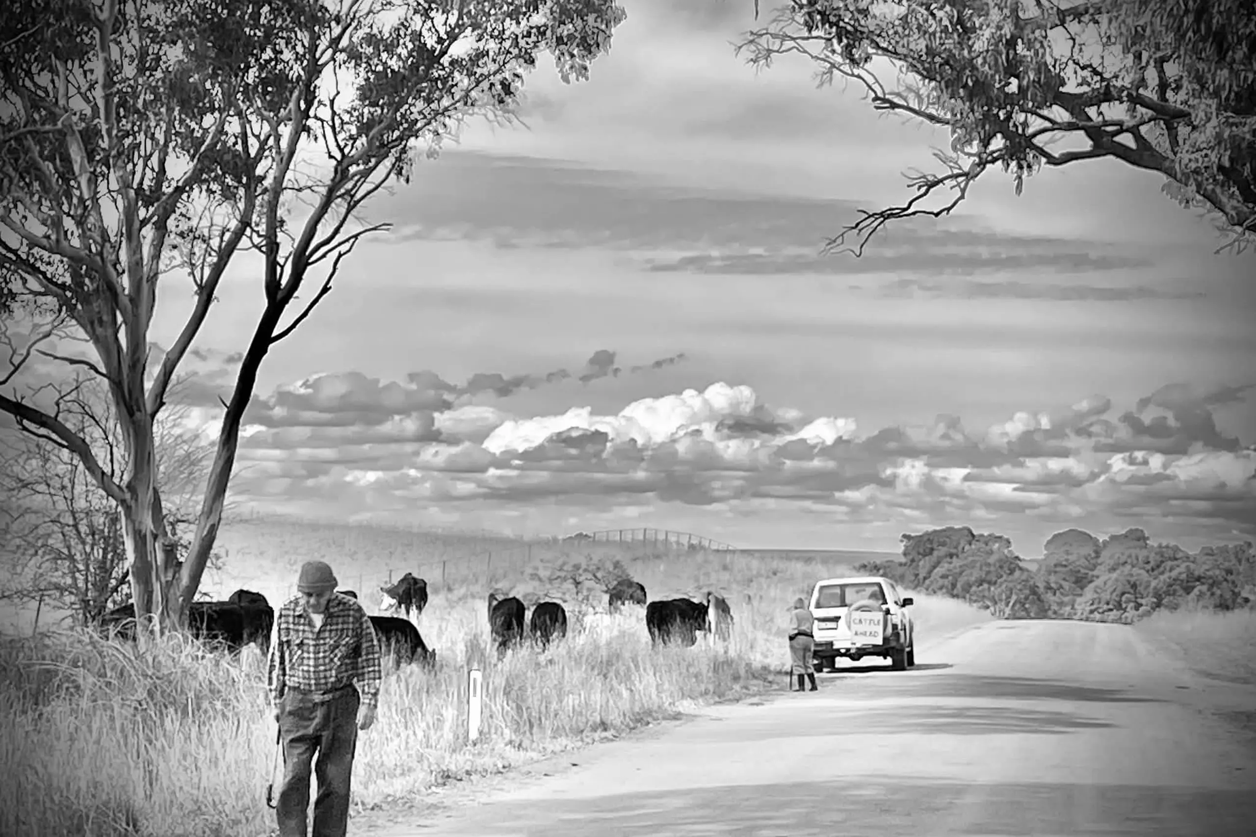 Local winner in We Thrive photo competition