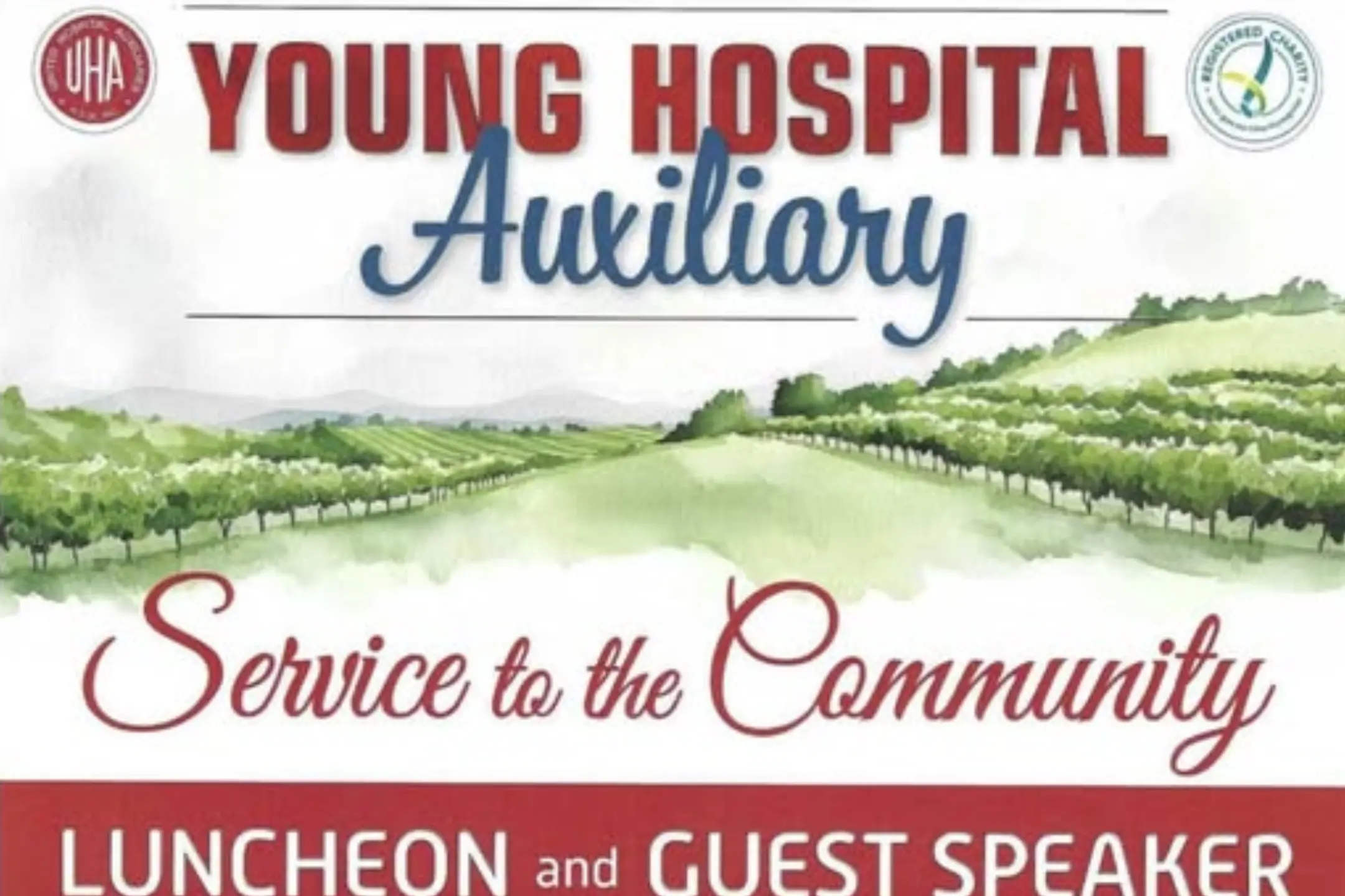 <p>Young Hospital Auxiliary Brings Community Together for Local Healthcare.</p>\\n