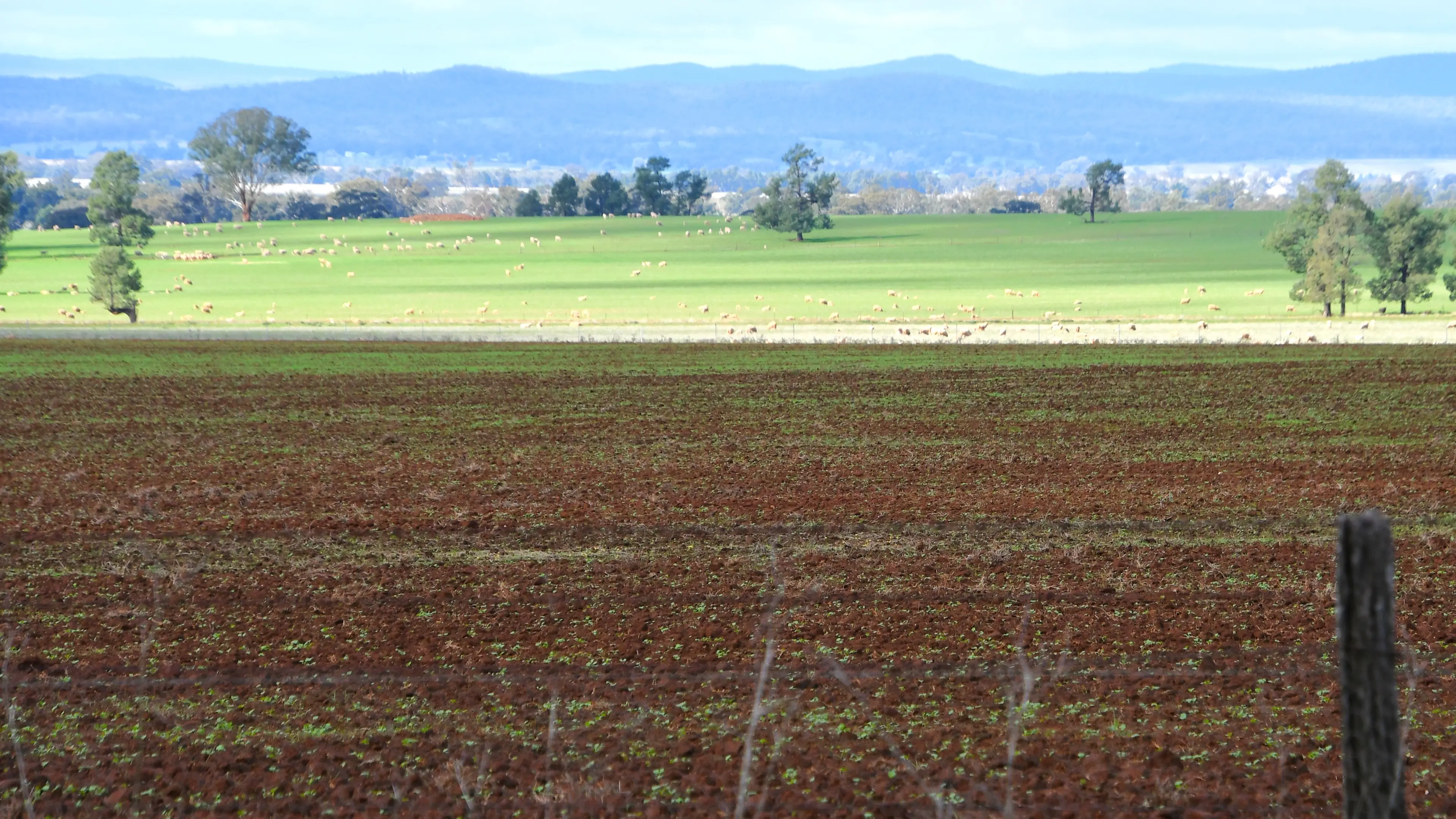 May rains revive cropping outlook in central west