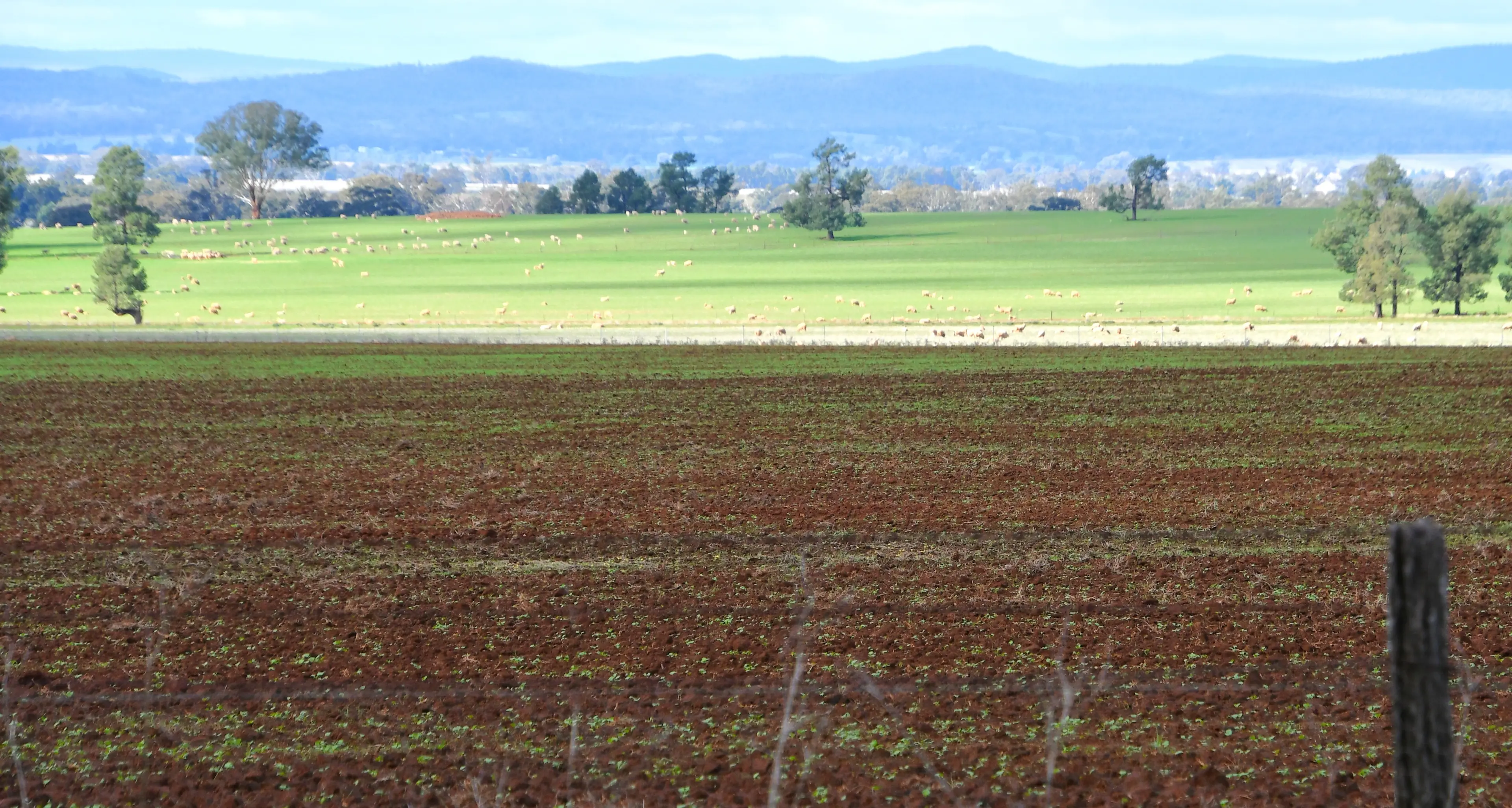 May rains revive cropping outlook in central west
