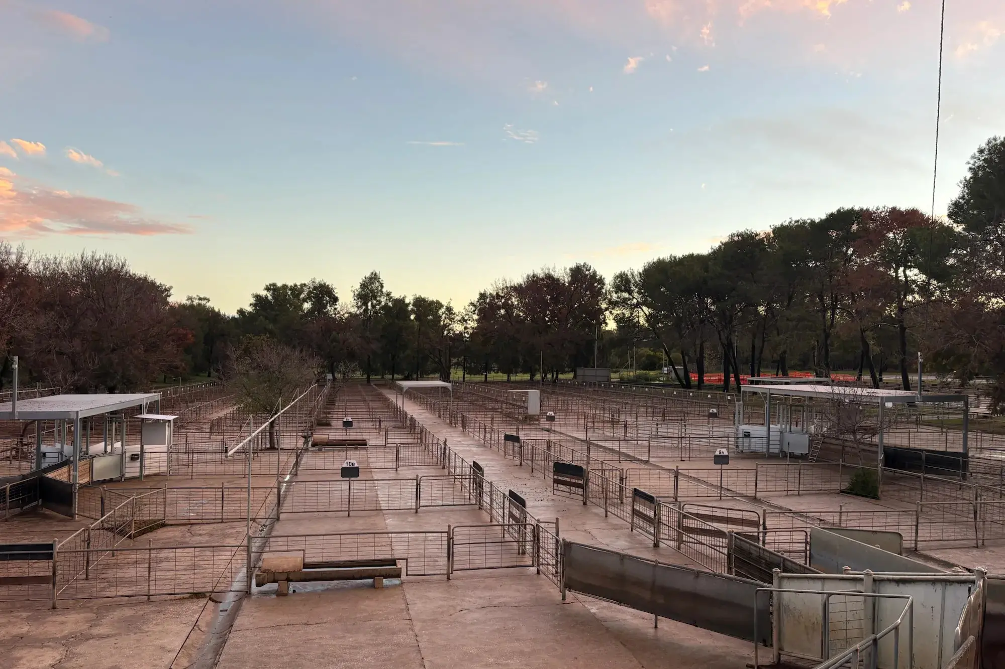 <p>Cowra Saleyards report highlights steady stock numbers, strong lamb prices and improving financial outlook.</p>\\n