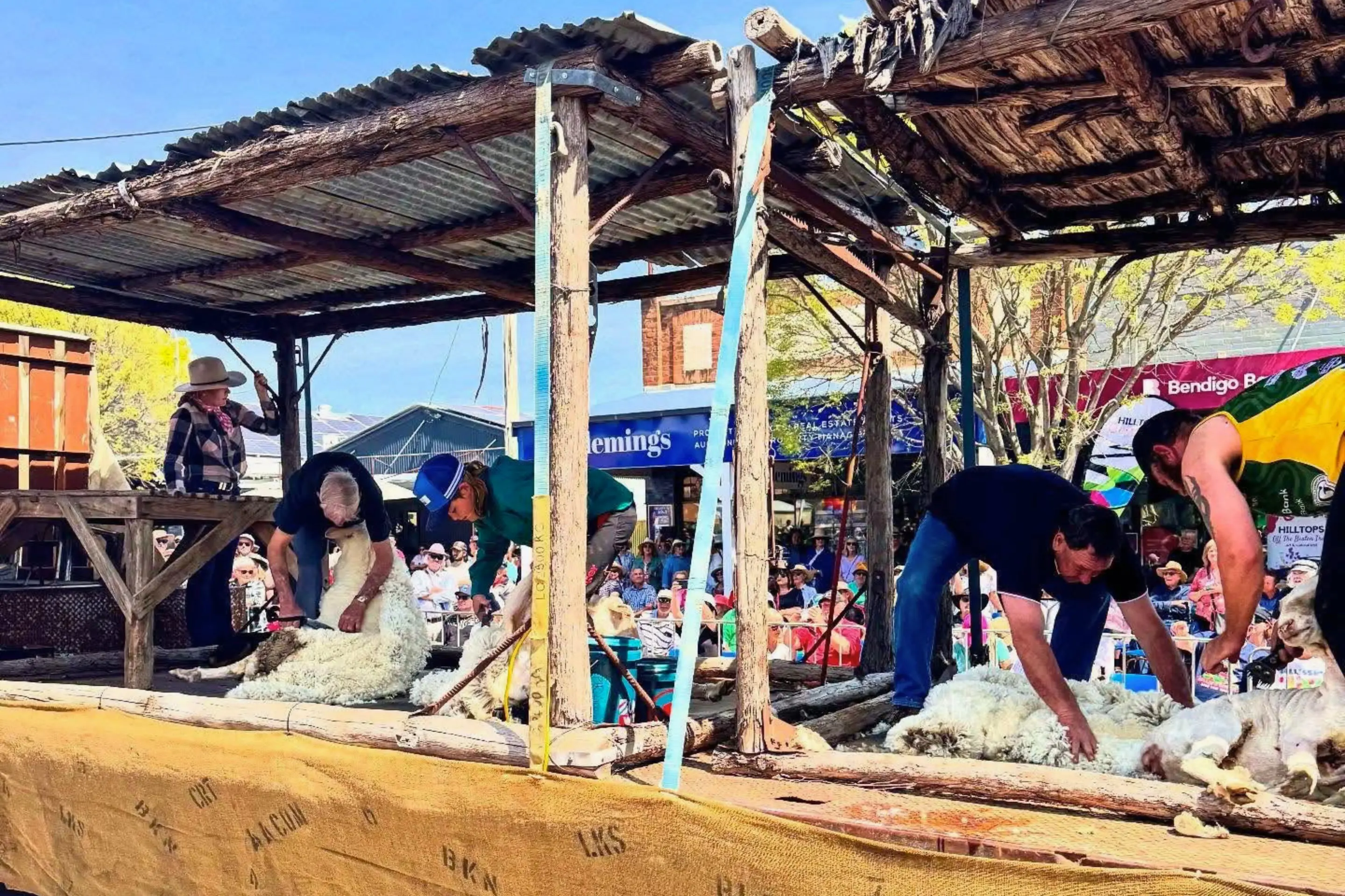 <p>Shearers at work on a float during a previous Boorowa Irish Woolfest street parade.</p>\\n