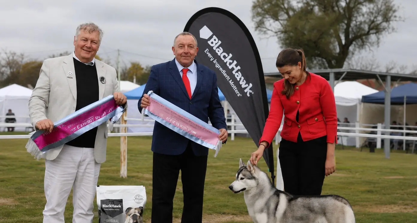 Top dogs on display