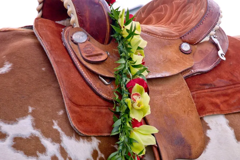 <p>The Riderless horse, a tribute to a fallen cowboy. Image licensed from Alamy</p>\\n