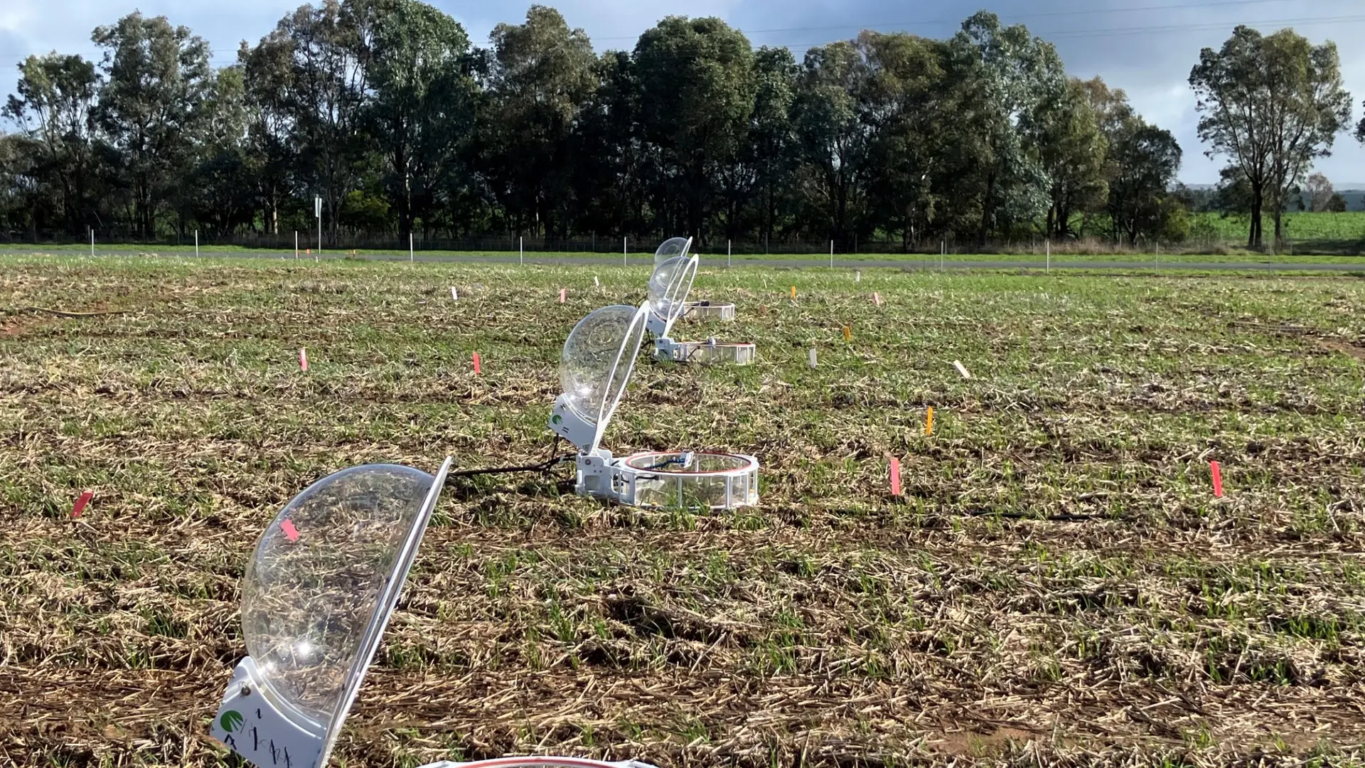 Boorowa research station opens its gates as trials expand