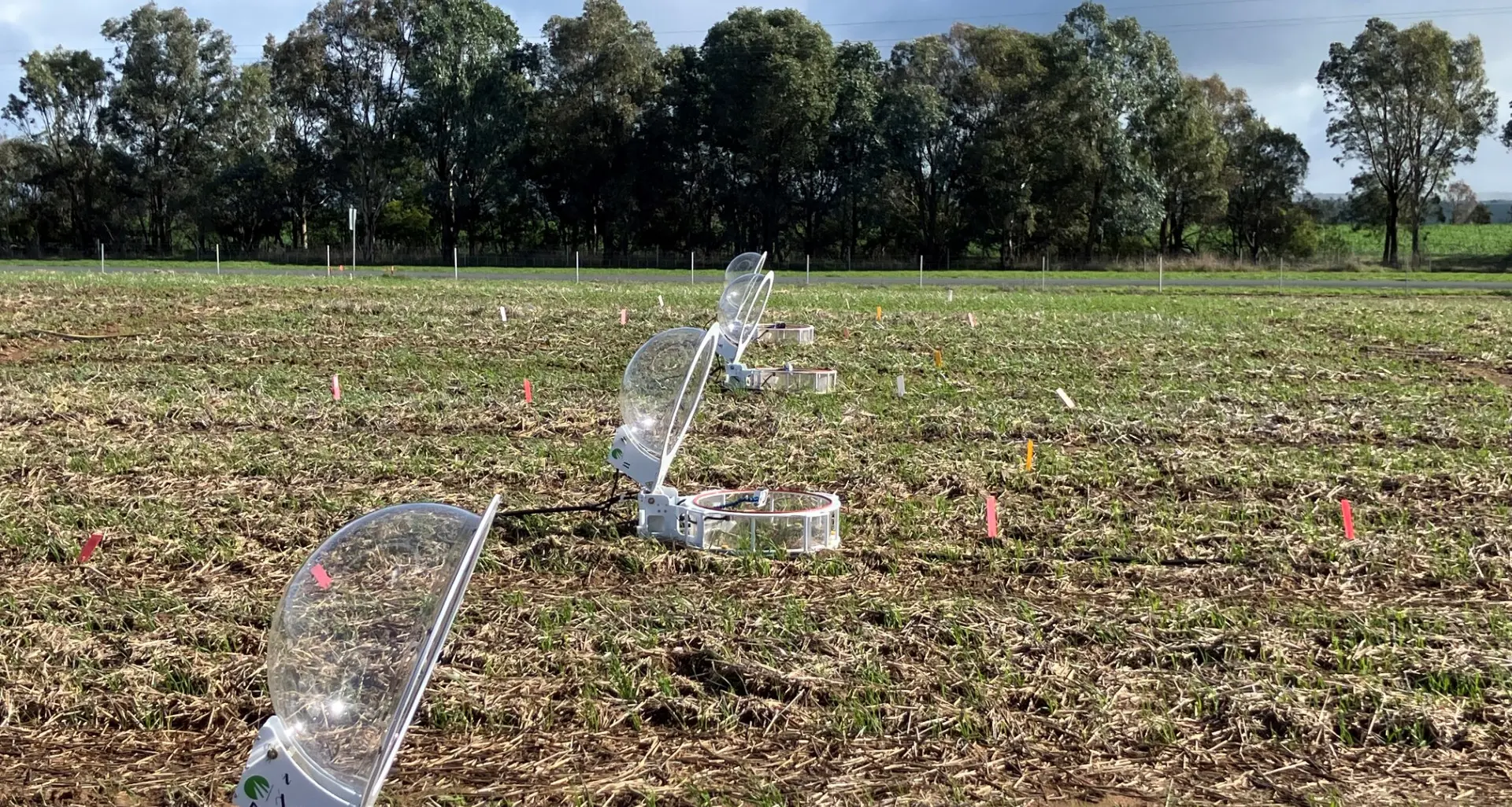 Boorowa research station opens its gates as trials expand
