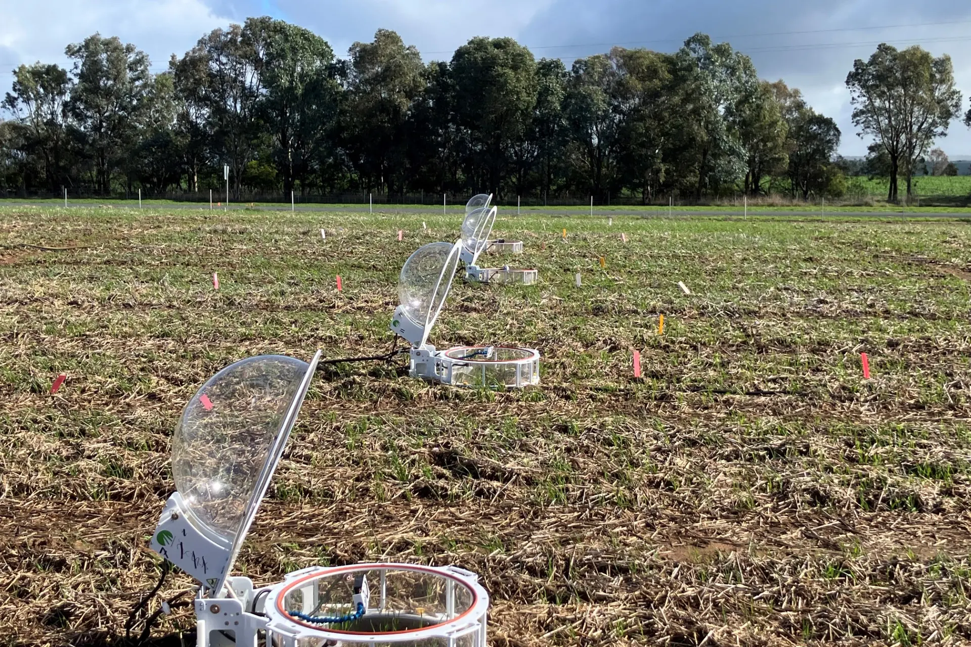 <p>New field-based greenhouse gas chambers at the CSIRO Boorowa Agricultural Research Station will measure emissions from cereal stubble under different post-harvest treatments.</p>\\n
