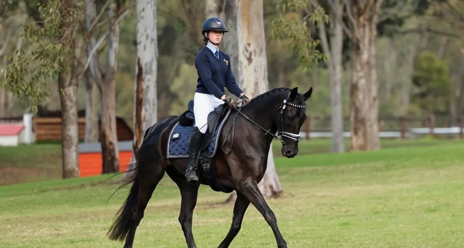 Strong results for equestrian team celebrated