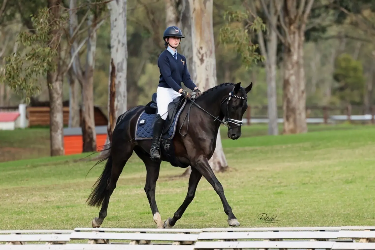 <p>Ashleigh competed in Dressage and Combined Training at the NSW State Interschools Competition and has qualified for the nationals. PHOTOS: Supplied</p>\\n