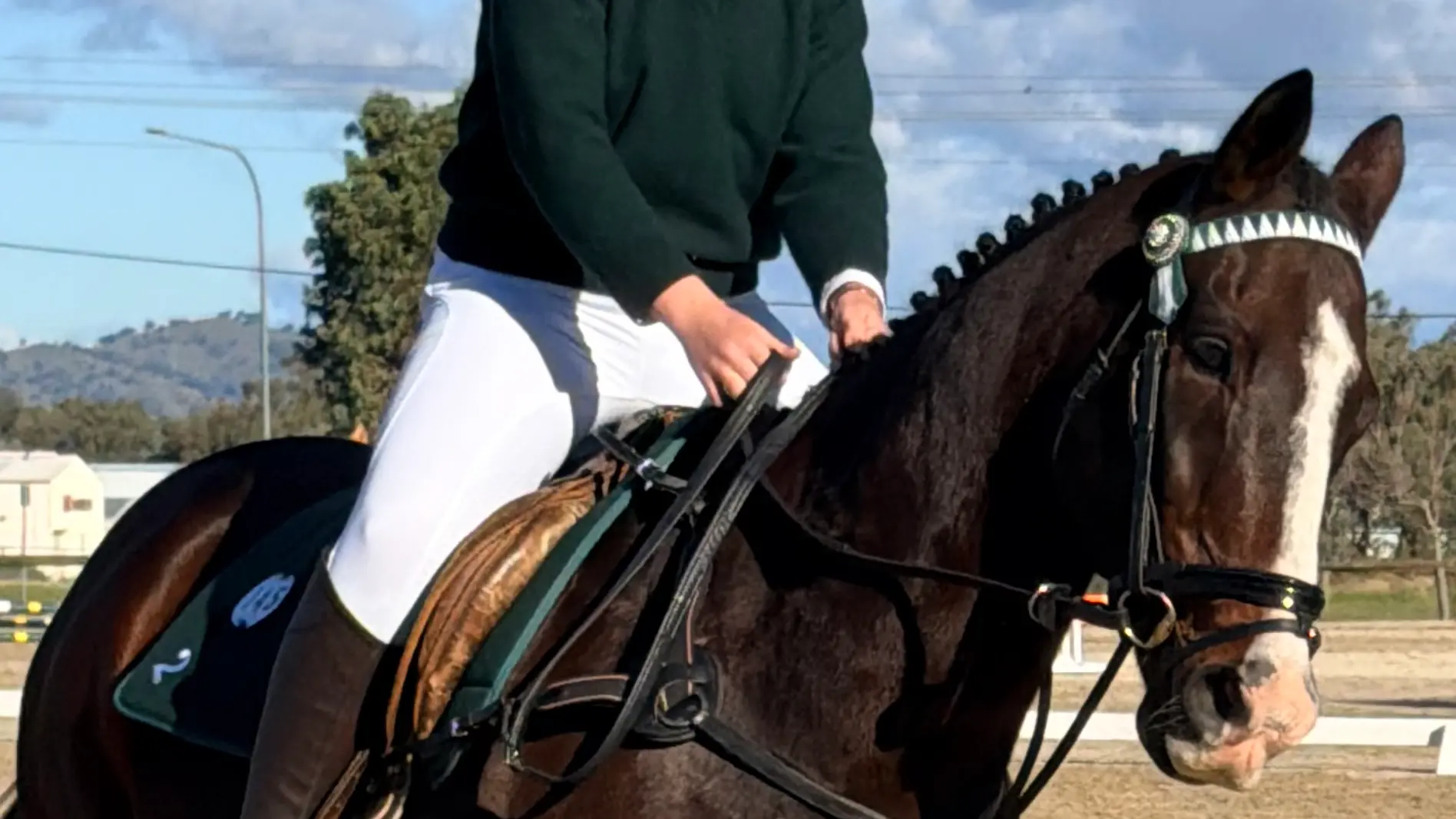 Zone 2 Pony Club riders build towards State Championships