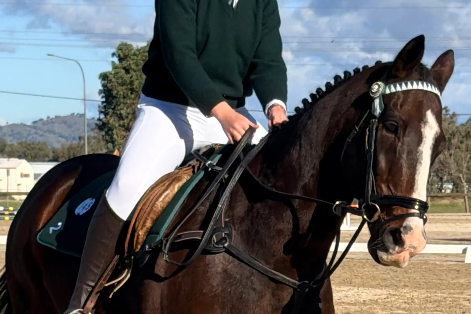 <p>Stella Dowell from Gundagai , representing Harden Pony Club and Zone 2 at the Combined Training Championships in Albury this year where she Reserve Champion in the 13 and under15 age group. PHOTOS: Supplied</p>\\n