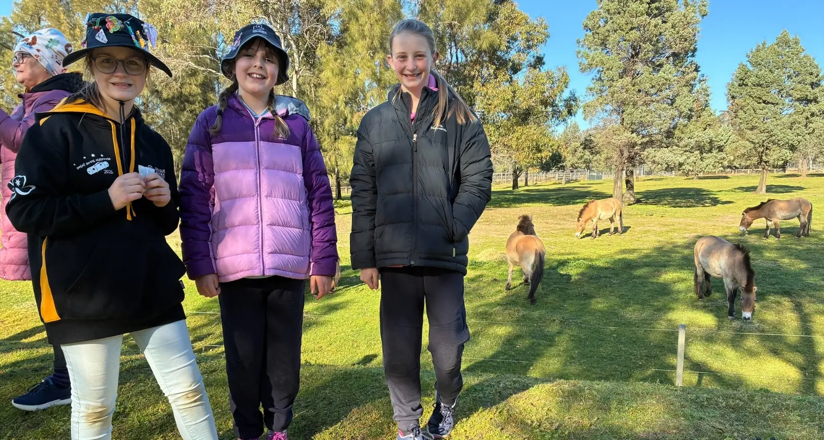 Lions, stars and a night to remember for Young Girl Guides