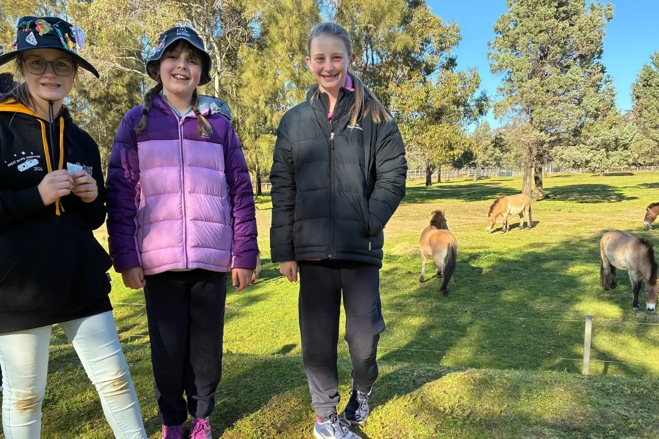 <p>Young Girl Guides stop to see the wild horses during their Great Guide Sleep Out at Taronga Western Plains Zoo Dubbo.</p>\\n