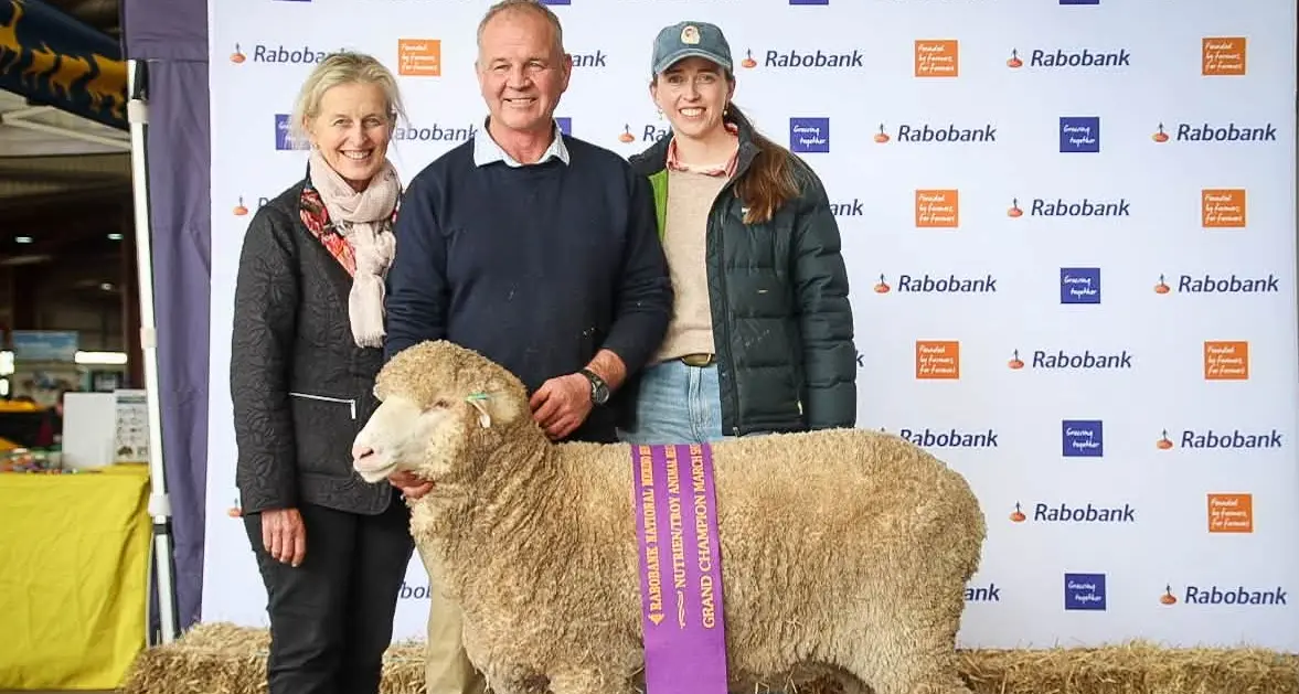 Boorowa studs shine at National Ram Show and Sale in Dubbo