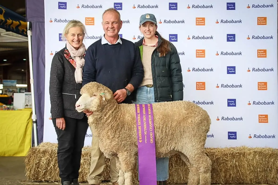<p>Anna, Guy and Stella Evans with the Supreme March-Shorn Mernio Ewe Photo Supplied</p>\\n