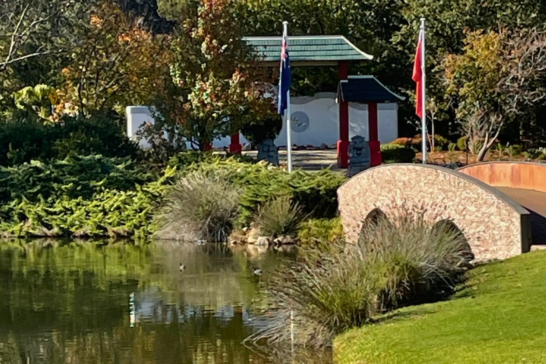 <p>Hilltops Council to investigate connecting The Lambing Flat Chinese Tribute Garden to Young with a shared pedestrian and cycling path.</p>\\n