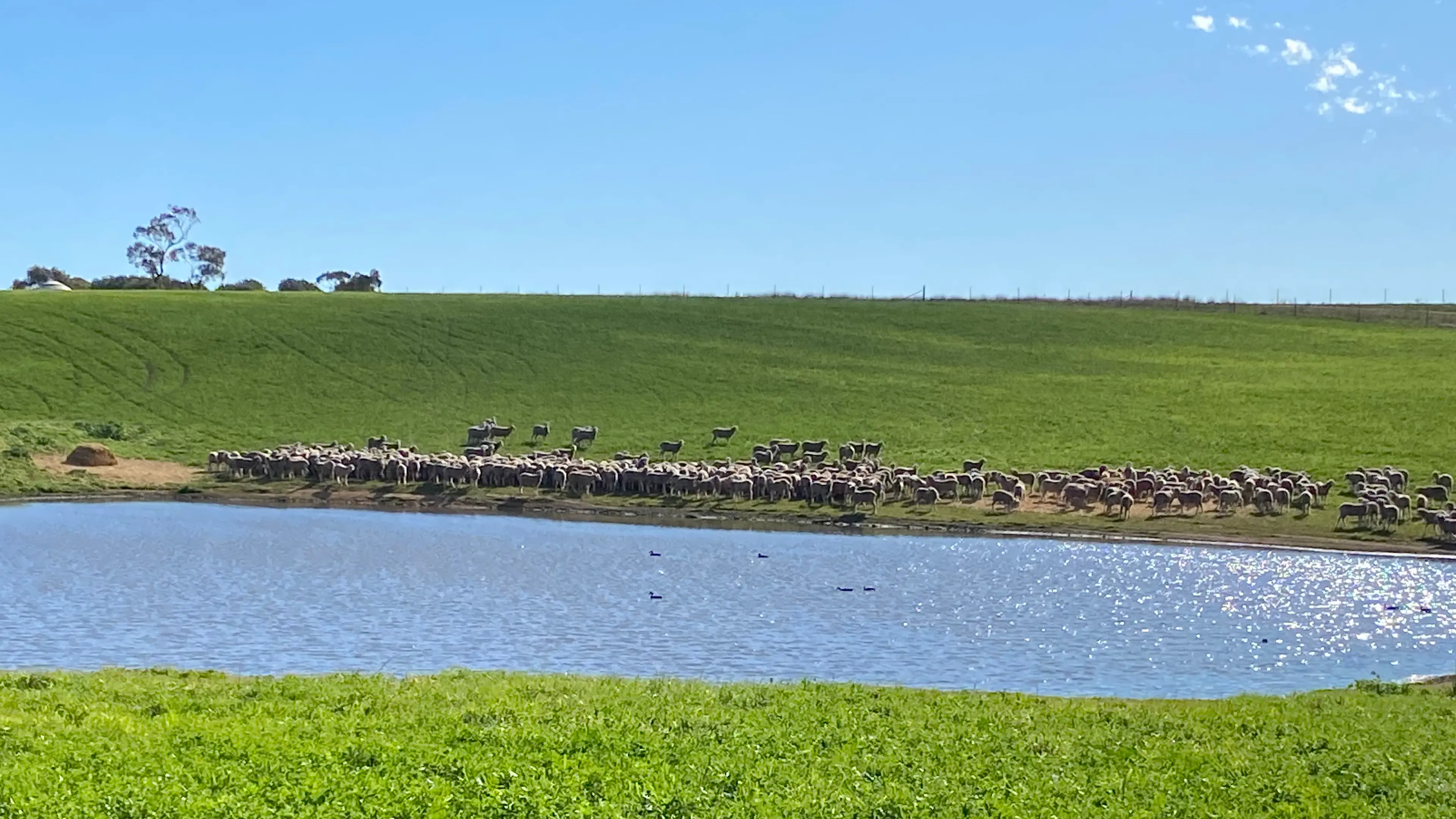 Bright outlook for spring and summer months