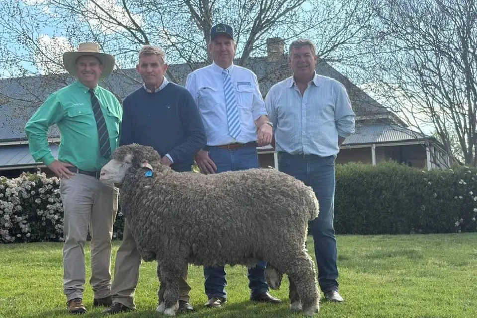 <p>Rick Power, Nutrien Stud Stock, Steve Phillips, Yarrawonga Merino and Poll Merino Stud, Harden, auctioneer Paul Dooley and Damien Meaburn, Yarrawonga Merino and Poll Merino, Harden, with Yarrawonga 250464. PHOTO:  Supplied</p>\\n