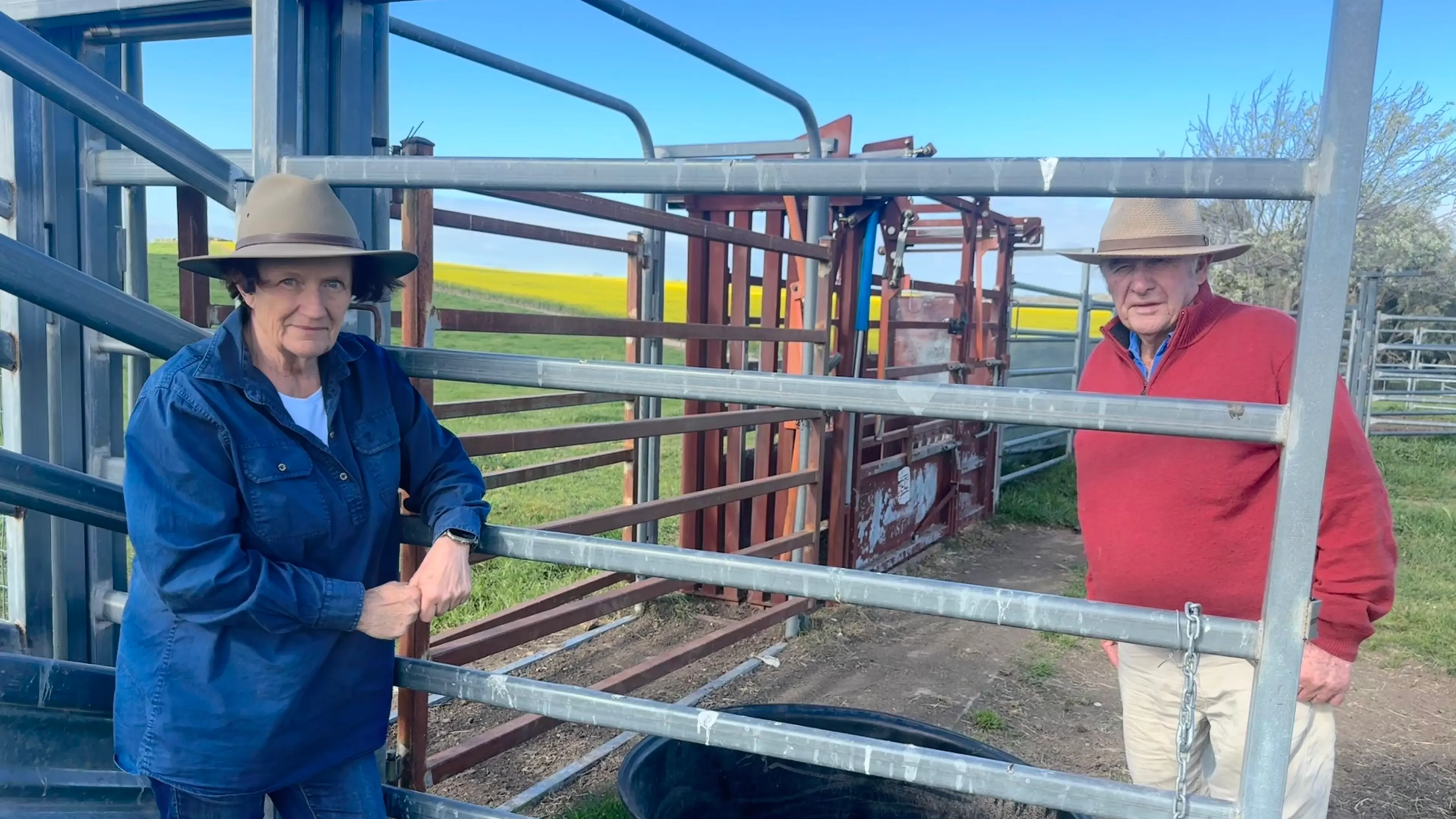 Boorowa farmer injured as bull fight turns on him