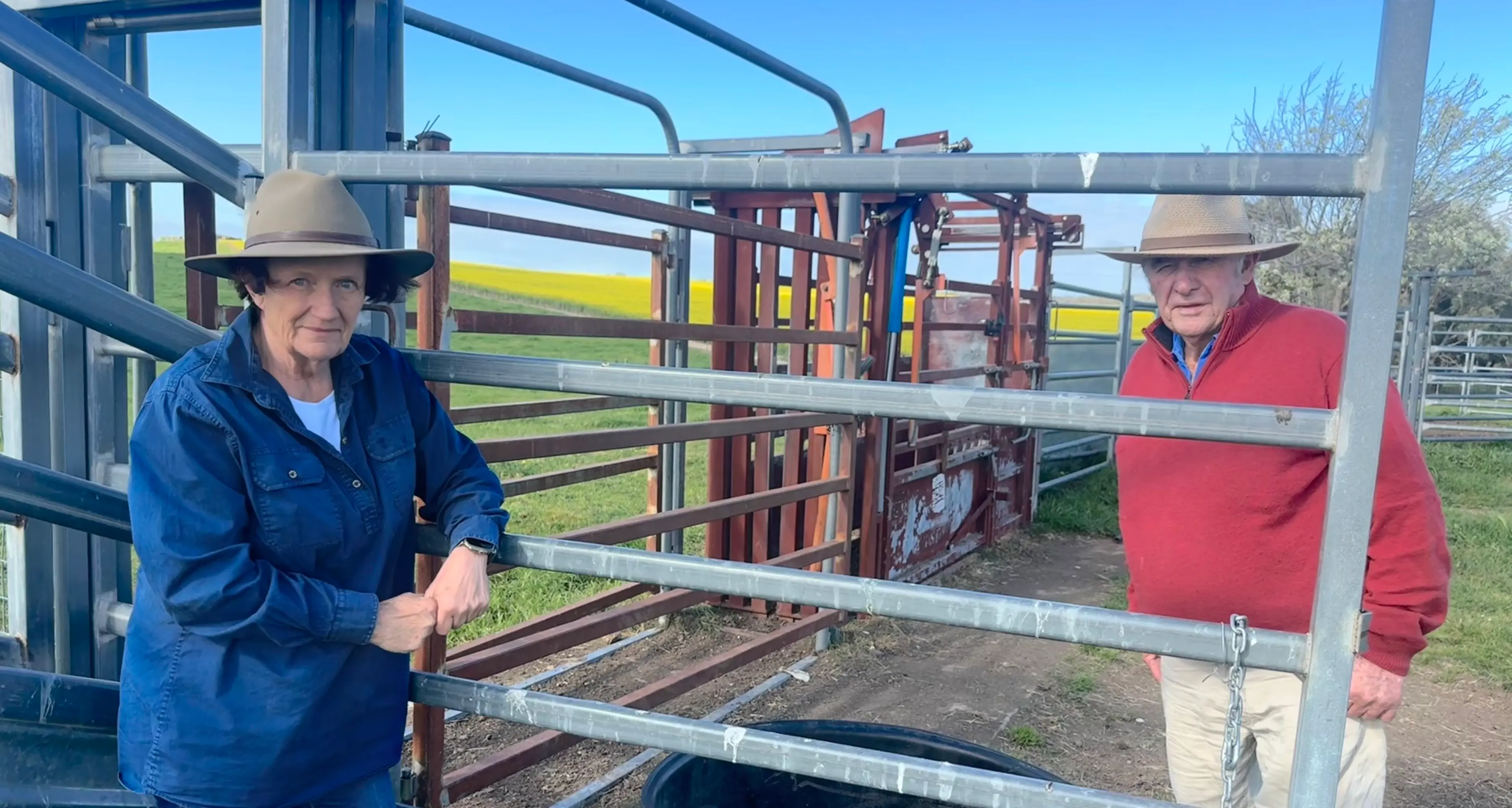 Boorowa farmer injured as bull fight turns on him