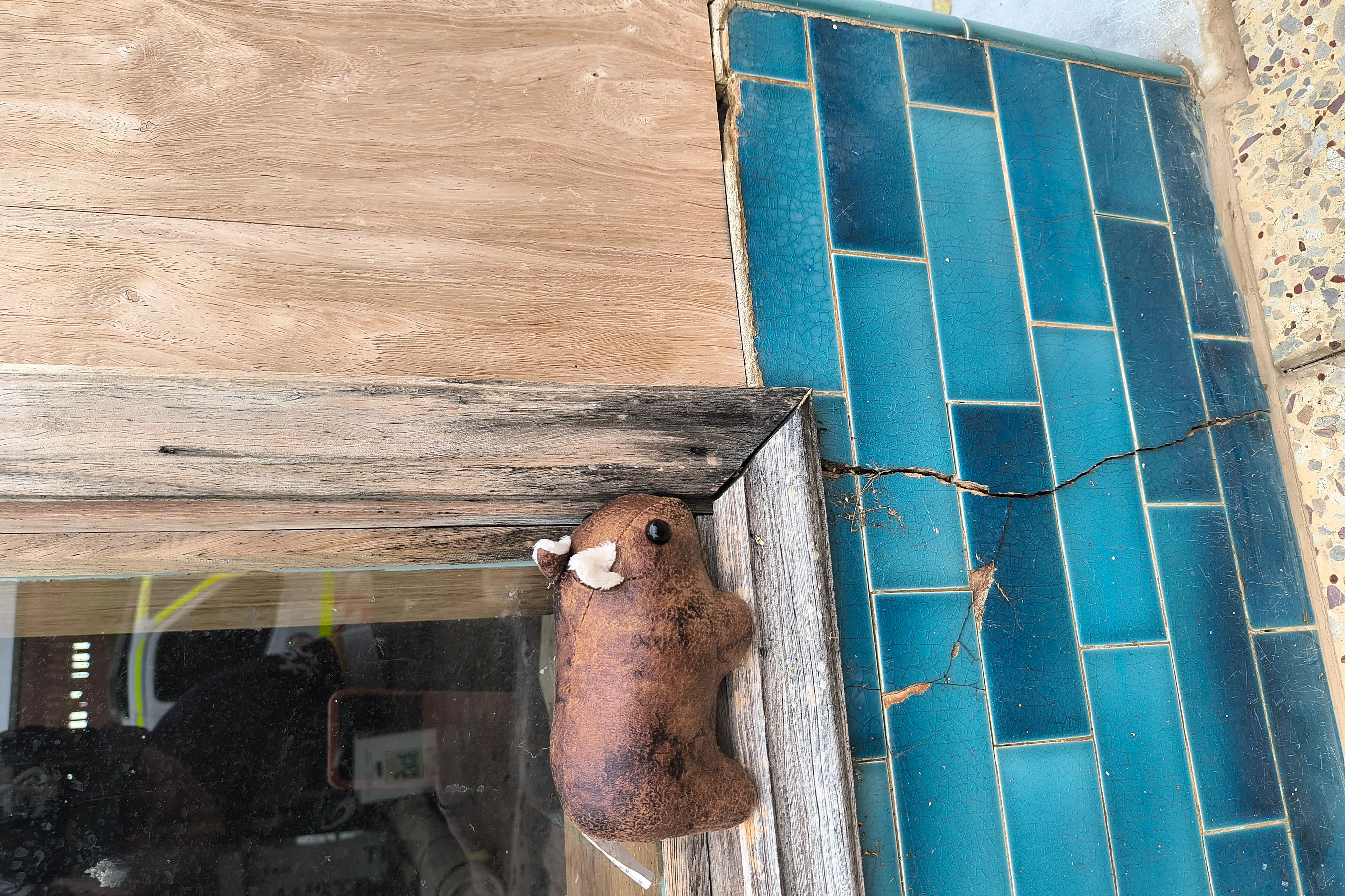 <p>Wally\\'s found a new spot to explore this week \\u2014 see if you can track him down.</p>\\n