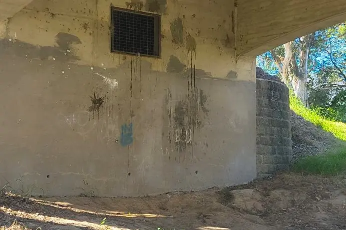 Mural to bring Young Bridge to life