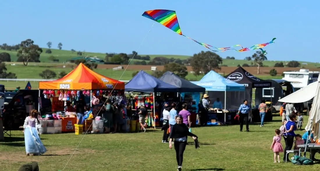 New kites, new rides set to lift Harden festival
