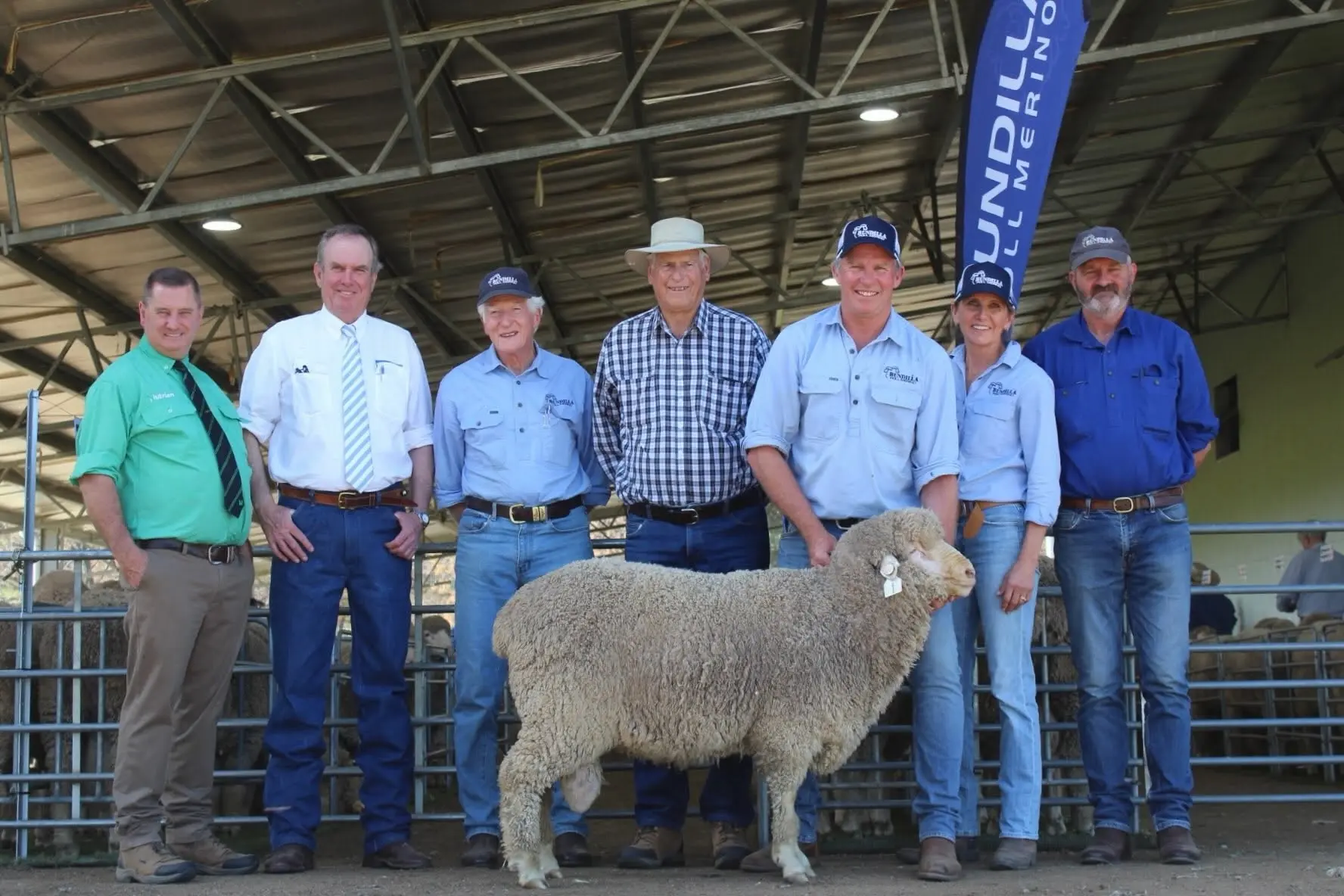 <p>Bundilla Poll Merinos top-priced ram went for $14,000, purchased by a local stud. PHOTO: Bundilla Poll Merinos</p>\\n