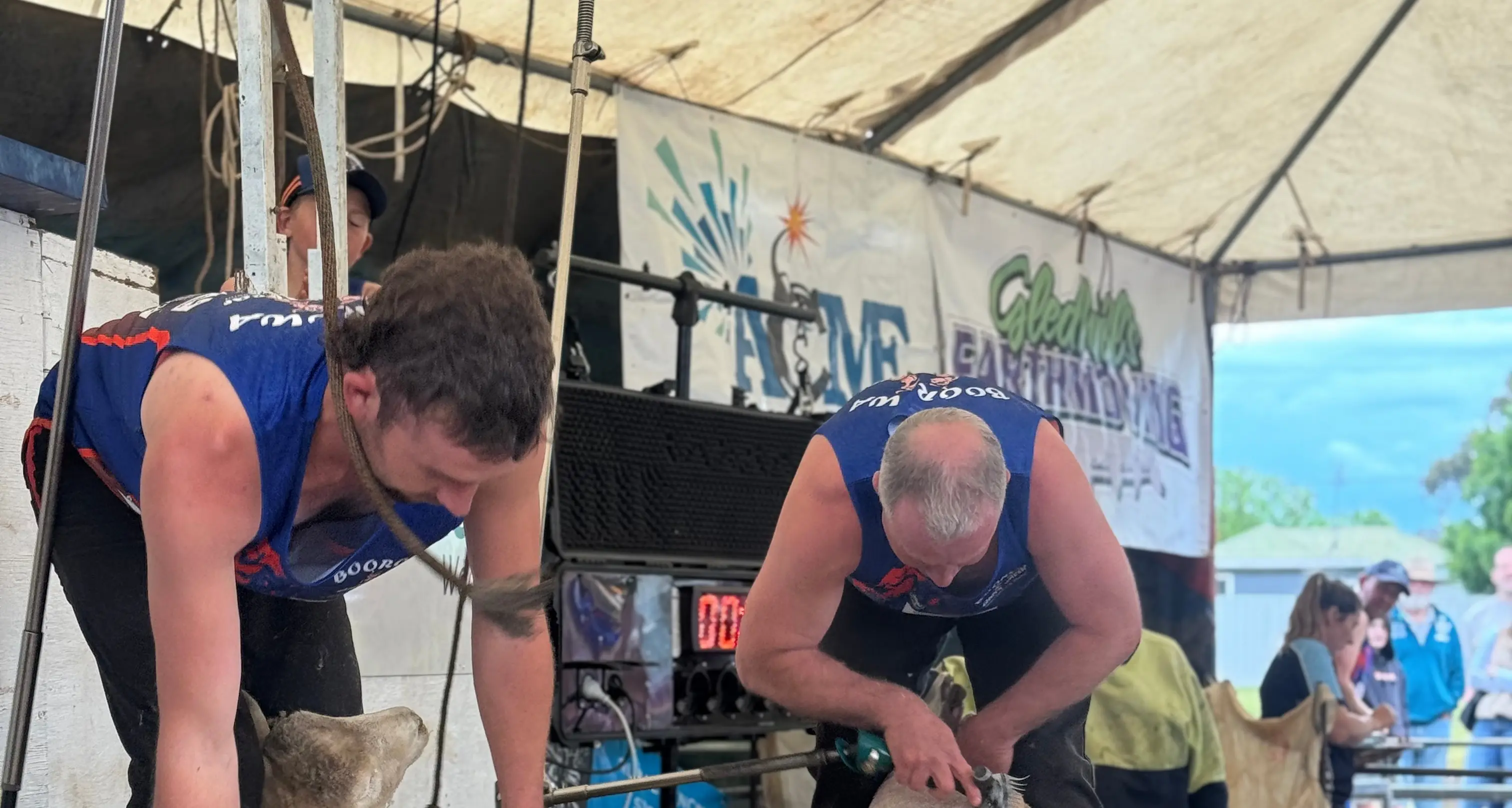 Quick shear to debut at Reid's Flat Rodeo